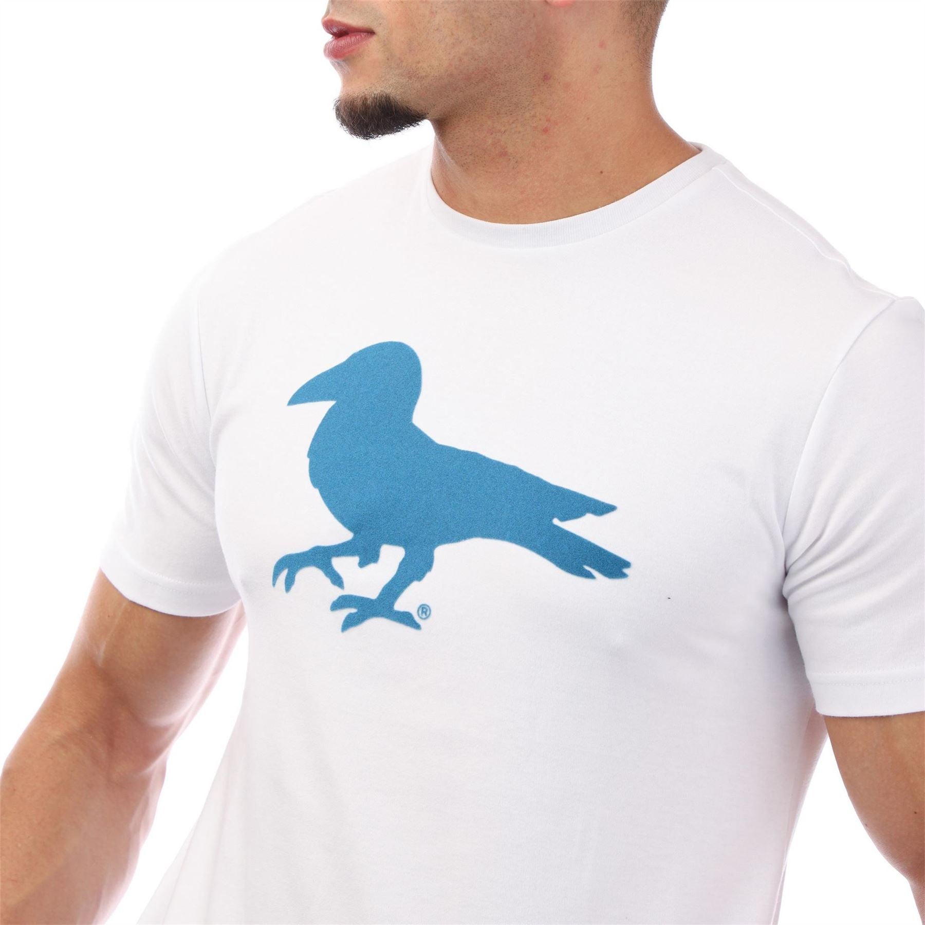 Modern Amusement Robin Graphic Regular Fit Crew Neck T-Shirt