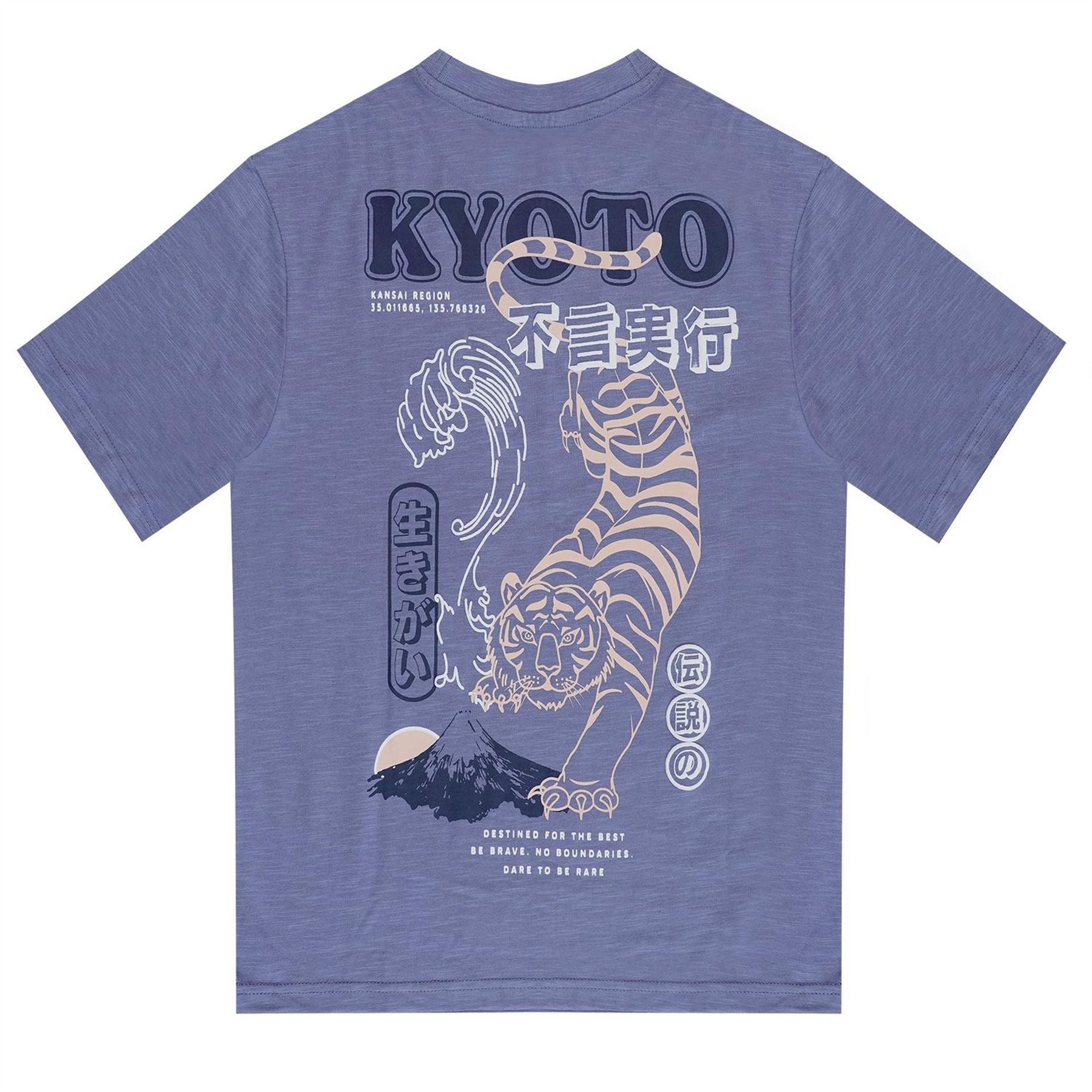 Firetrap Japan Pack Regular Fit T-Shirt