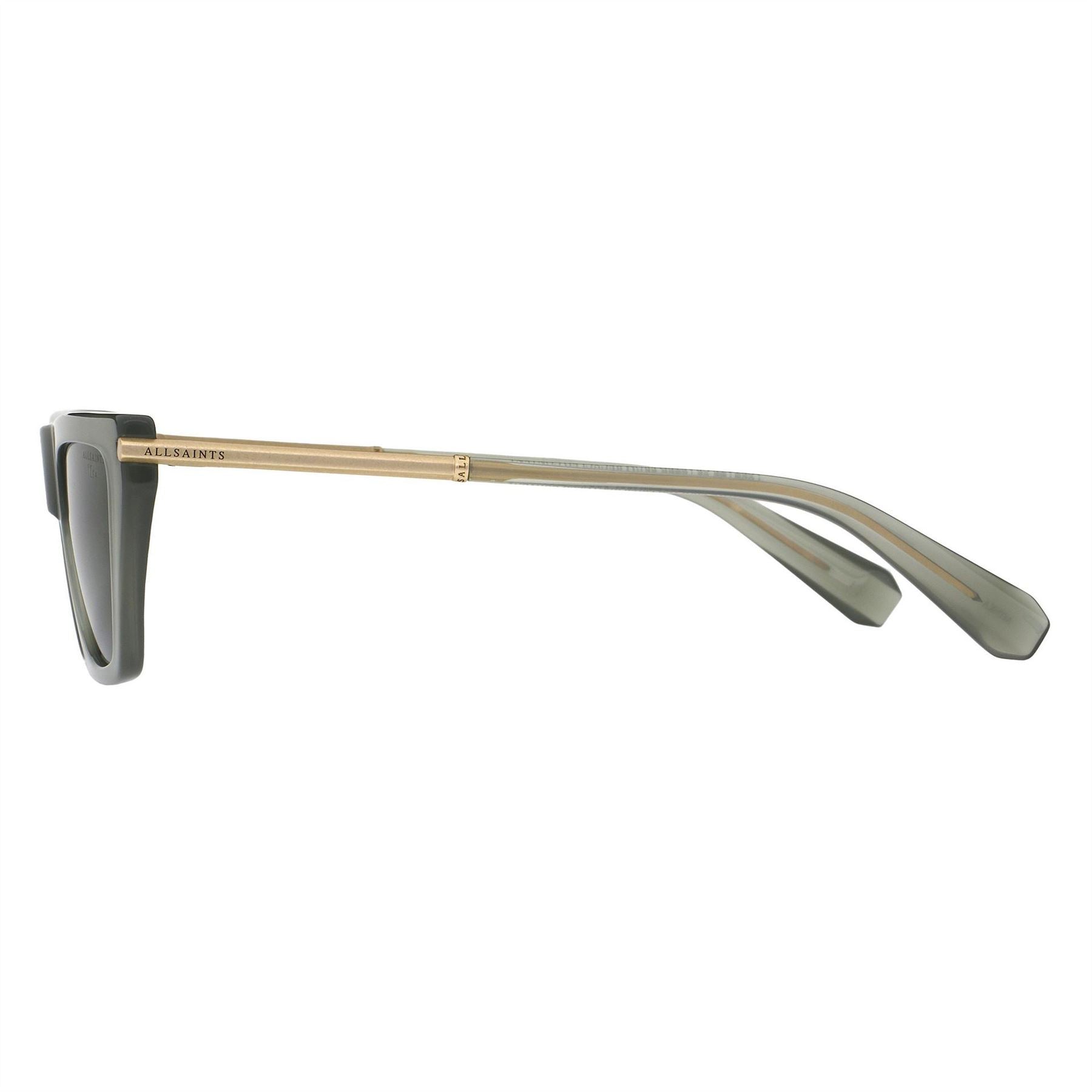 AllSaints Minka Cat Eye Full Rim Sunglasses