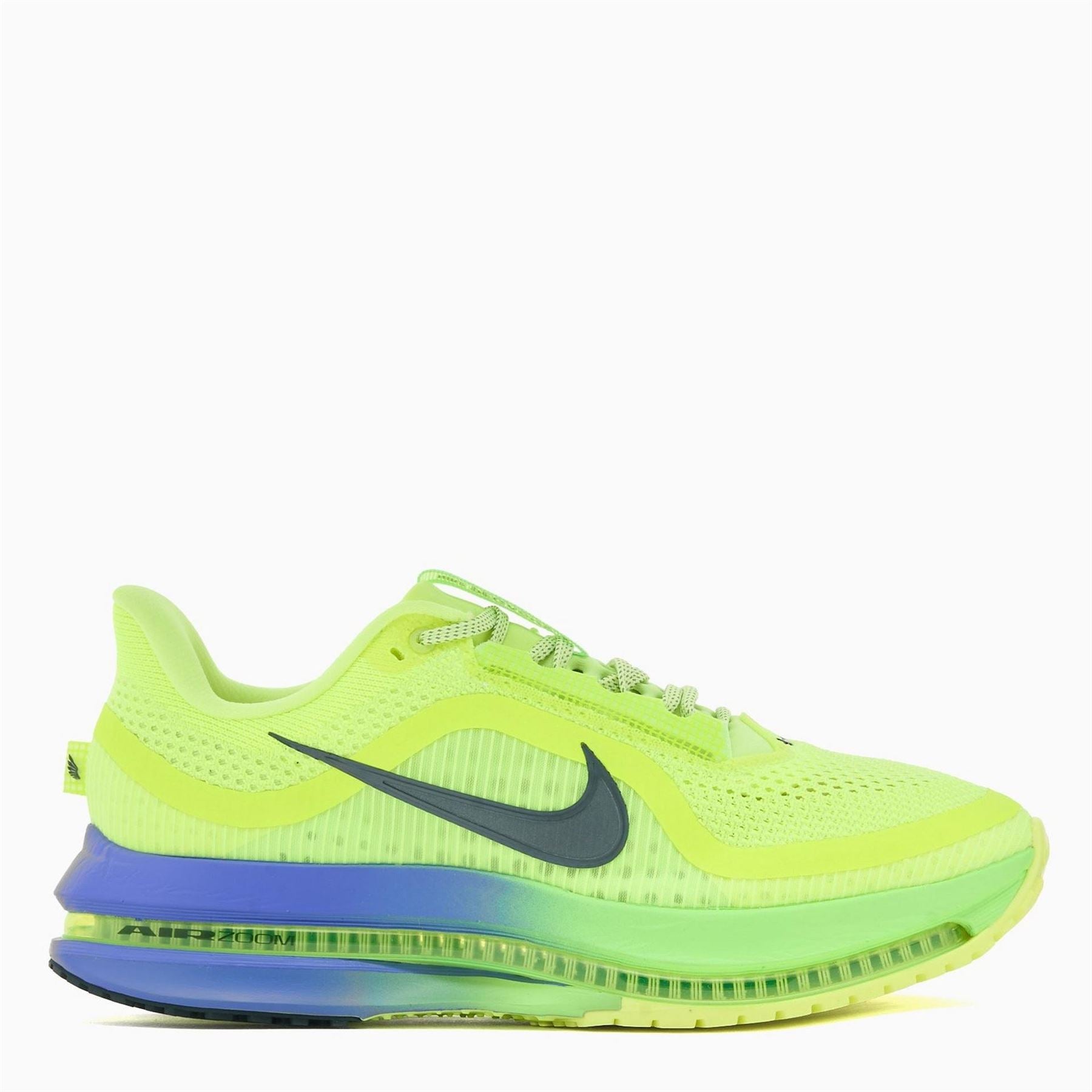 Nike Mens Pegasus Premium Running Shoes