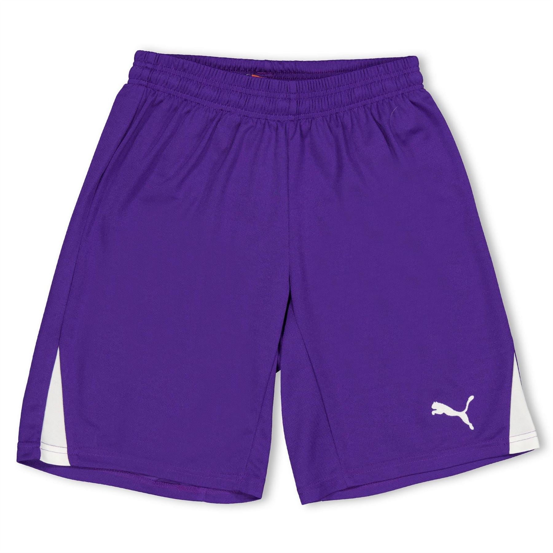 Puma Fb Team Shorts With Brief Juniors