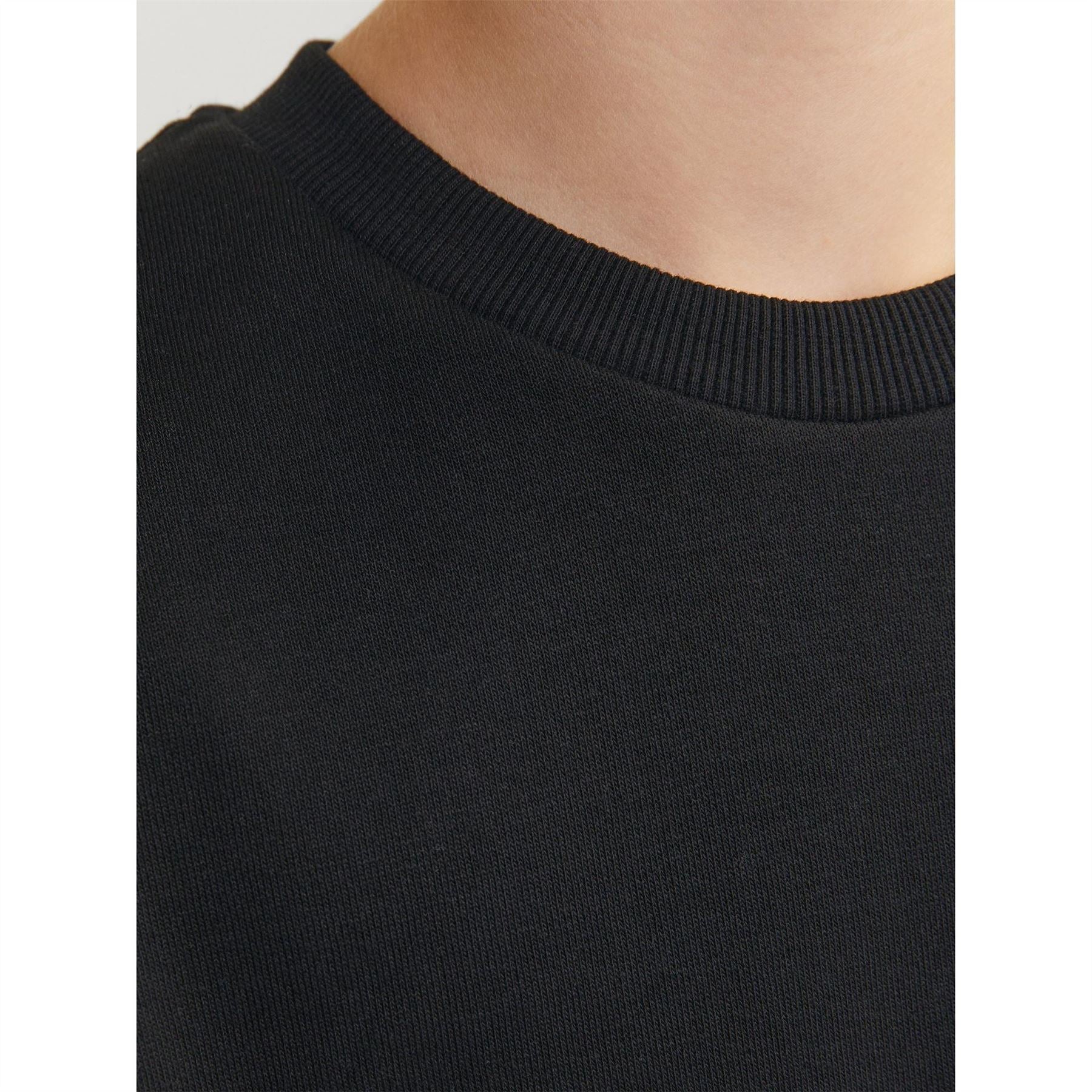 Jack and Jones Crew Neck Regular Fit Long Sleeve Sweater