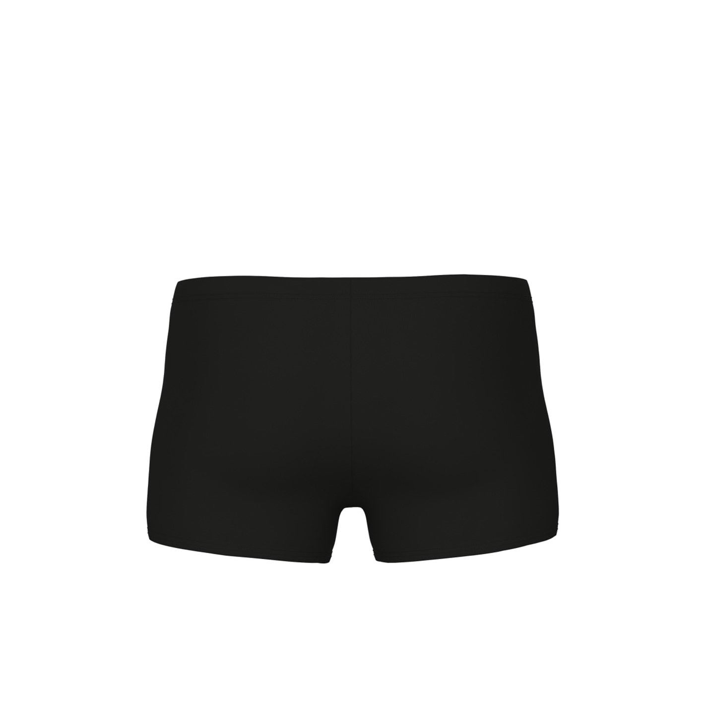 Arena Poseidon Swimming Shorts