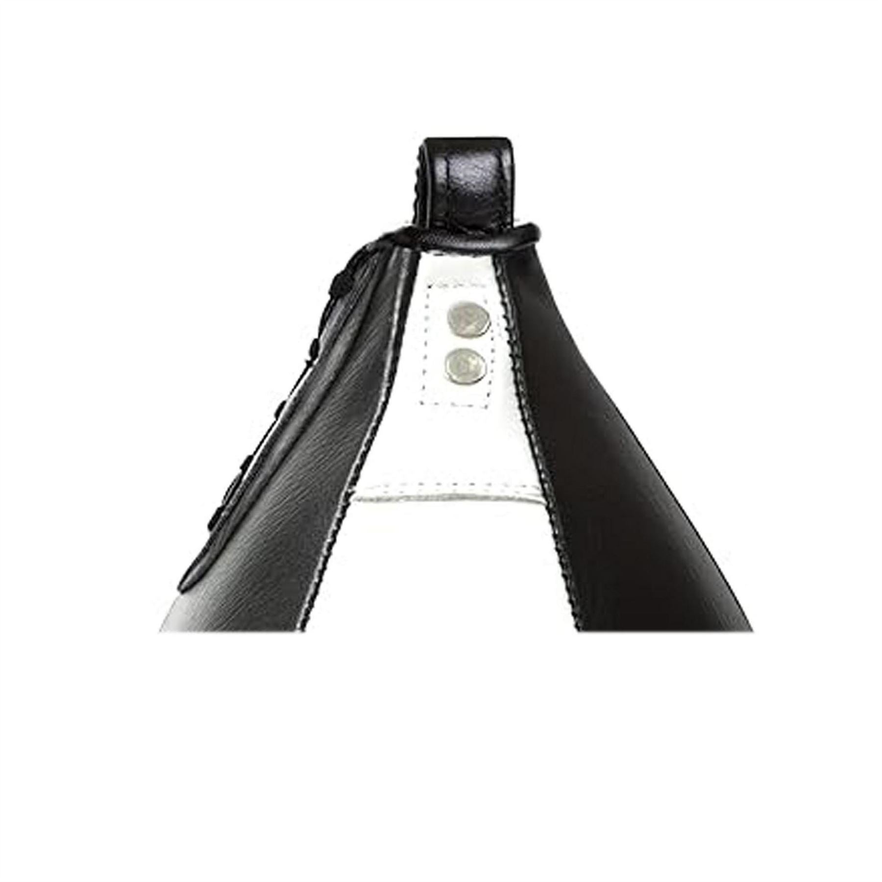 Everlast 1910 Speedbag Adults