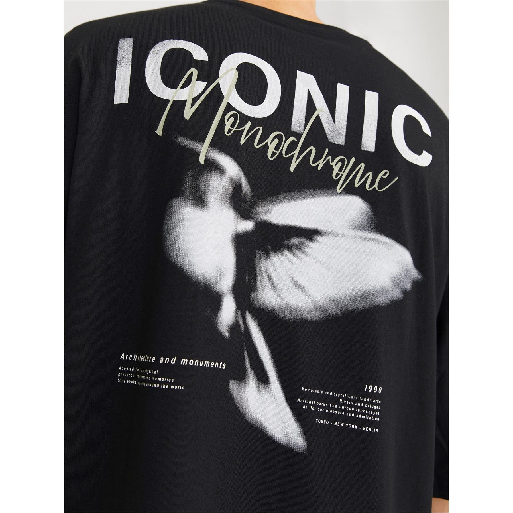 Jack and Jones Graphic Tee