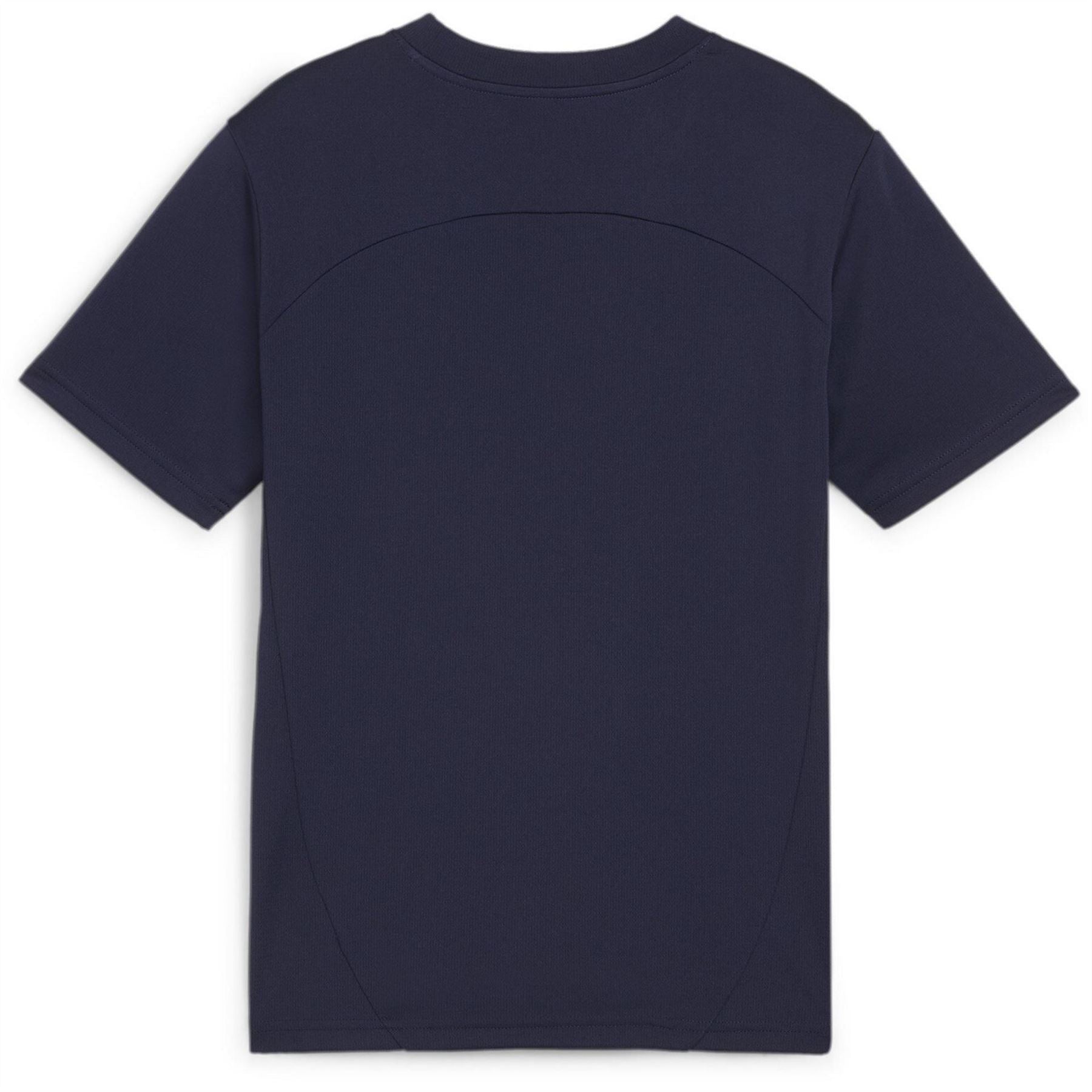 Puma Teamfinal Training Short Sleeve Performance T-Shirt