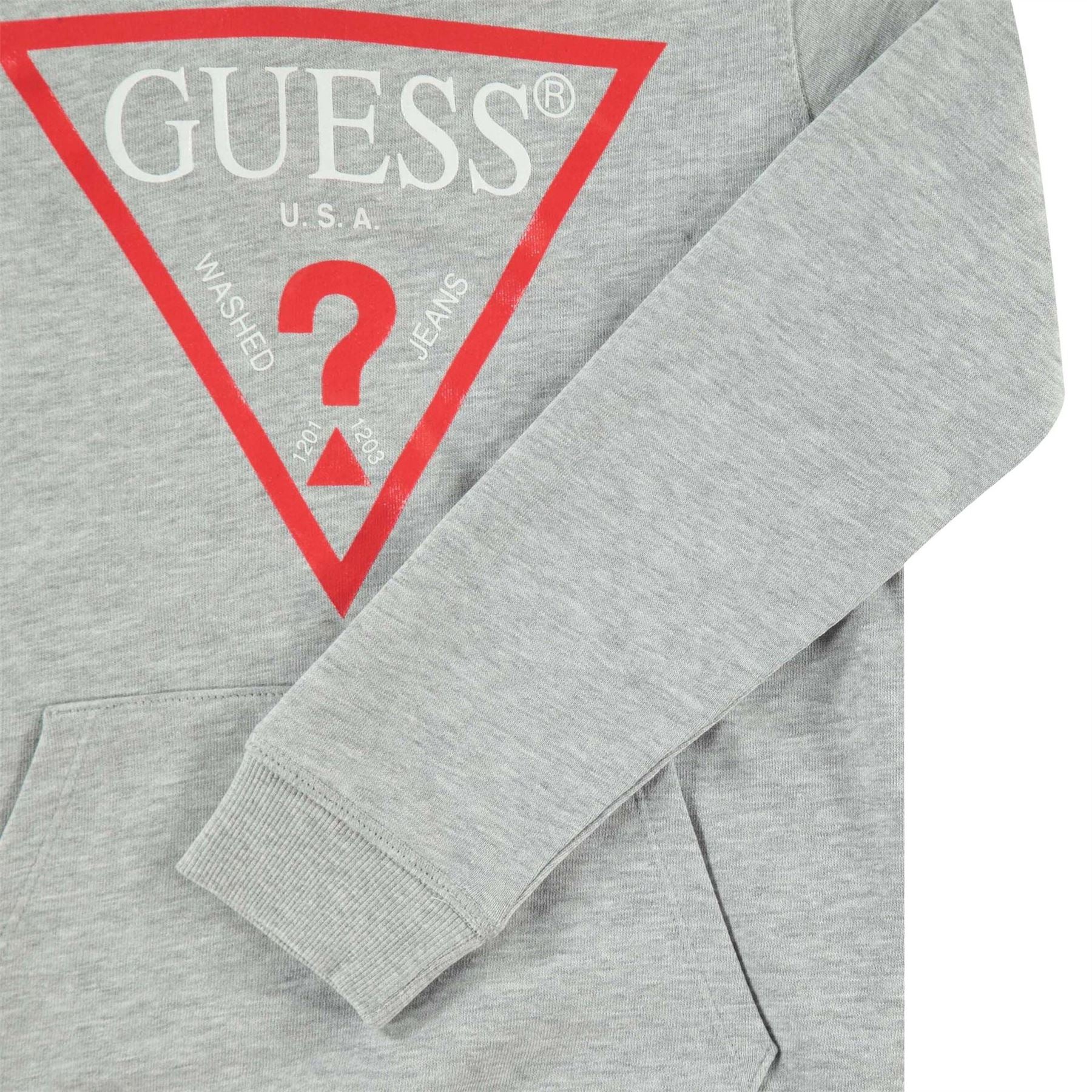 Guess Logo Oth Hoodie