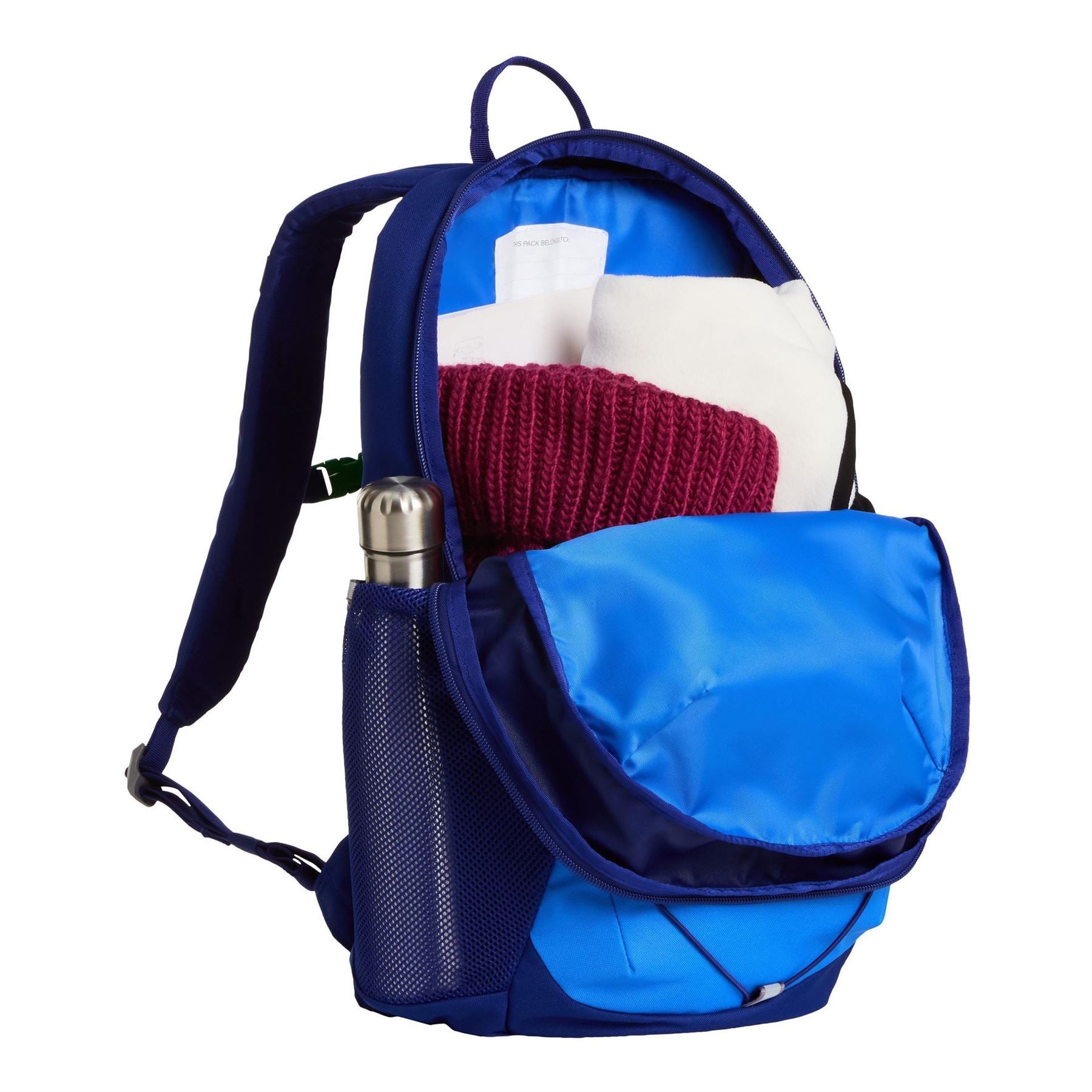 The North Face Backpack Juniors
