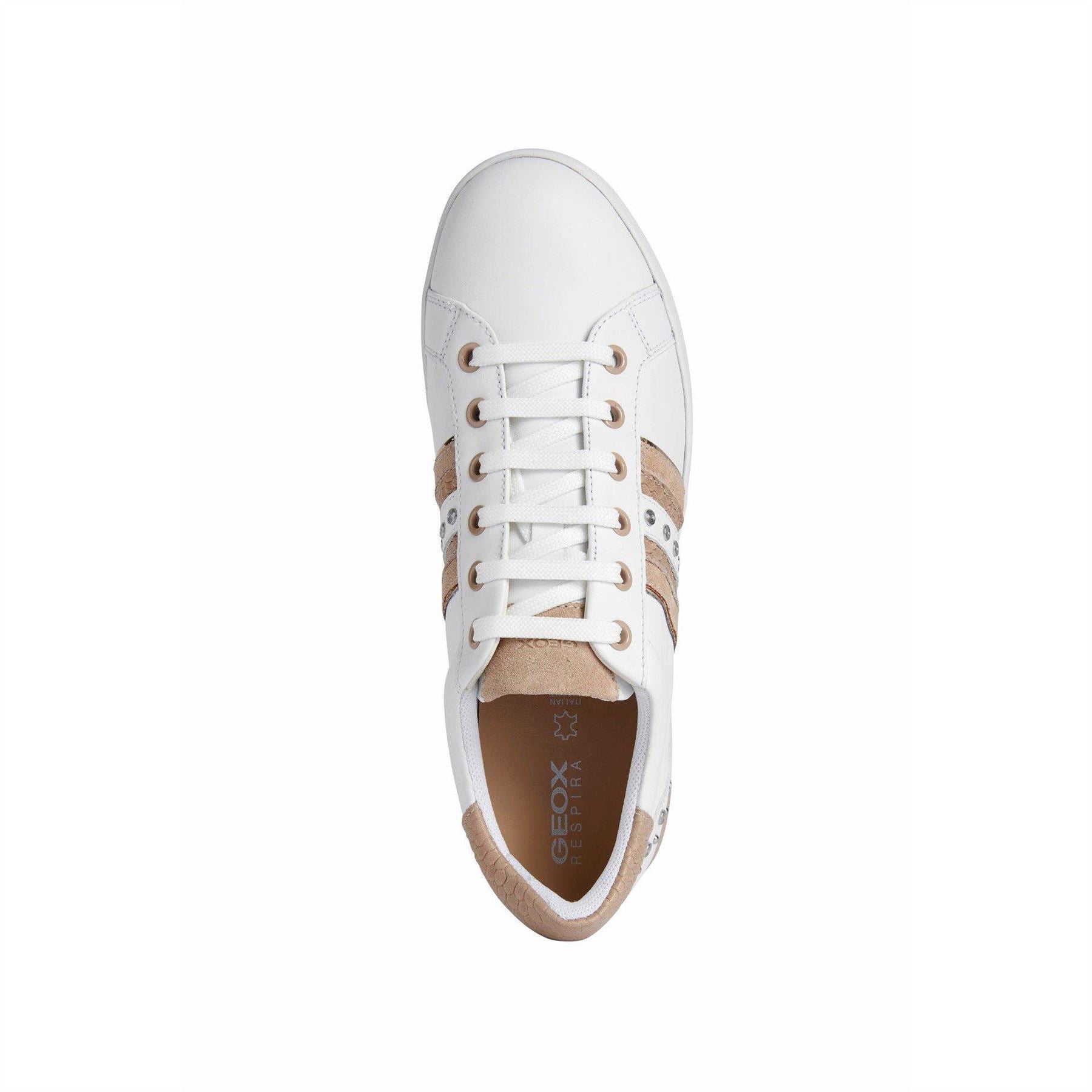 Geox Trainers