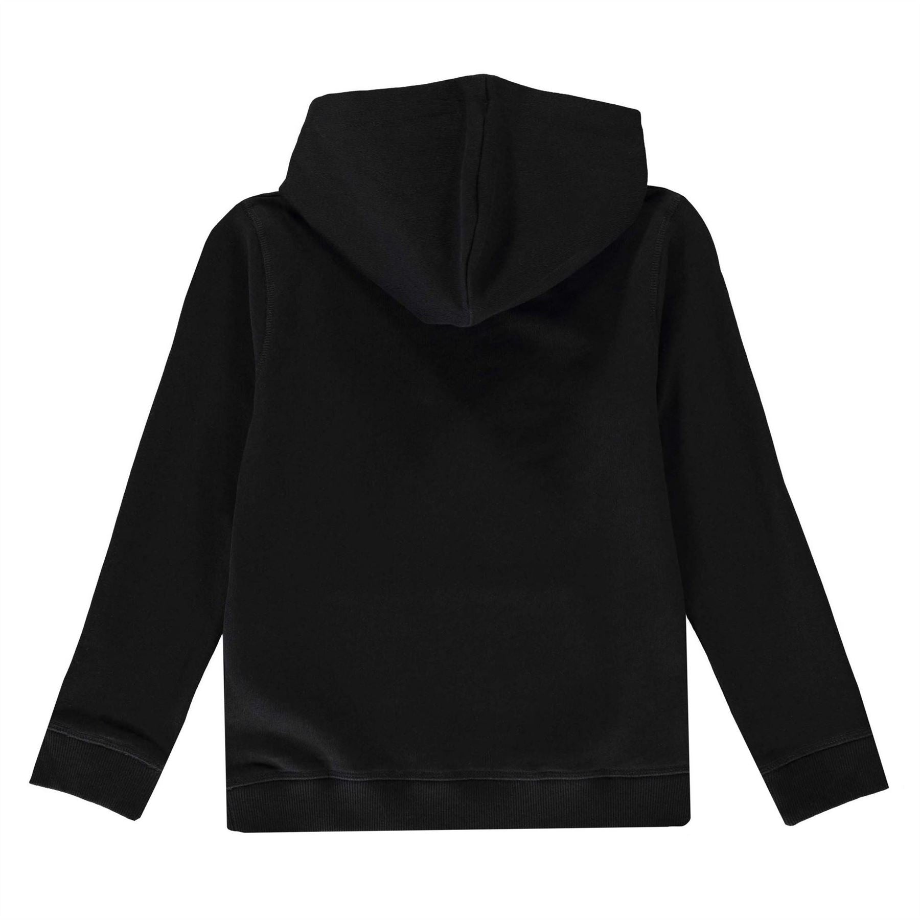 Guess Logo Oth Hoodie
