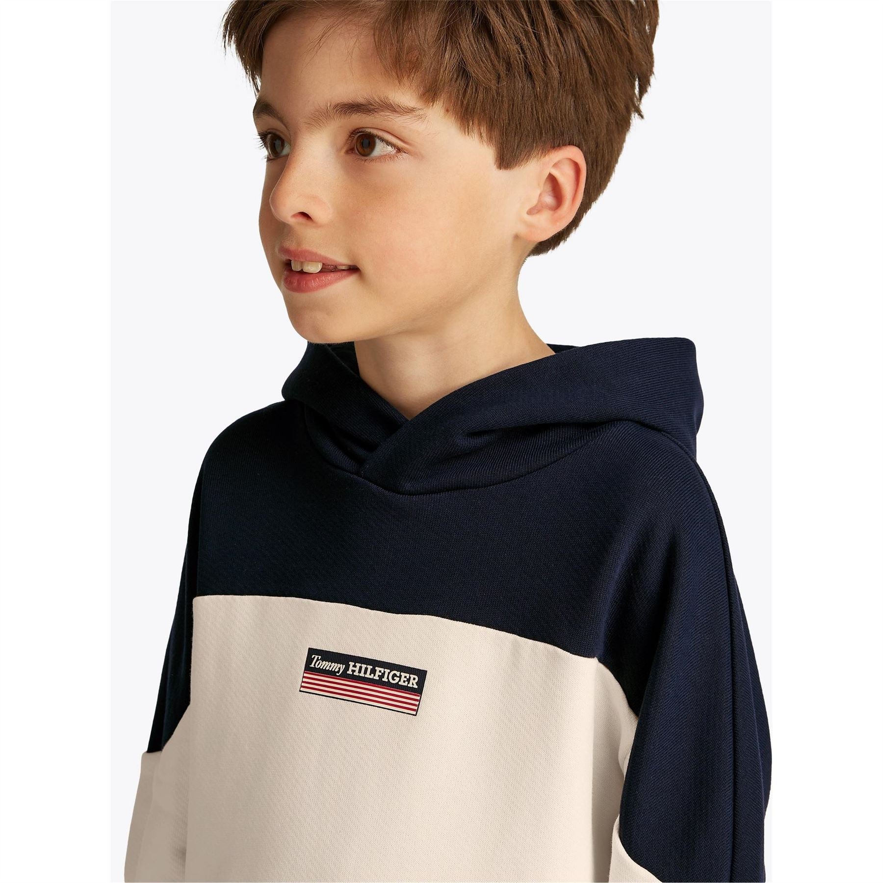Tommy Hilfiger Regular Fit Striped Hooded Sweatshirt