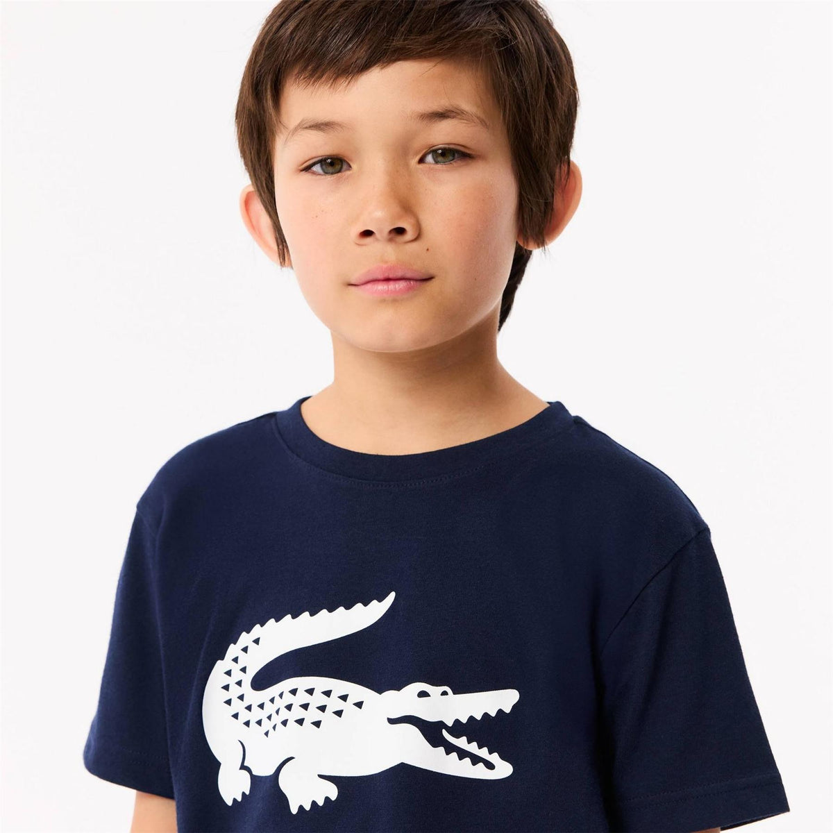 Lacoste Large Logo Cotton Short Sleeve T-Shirt