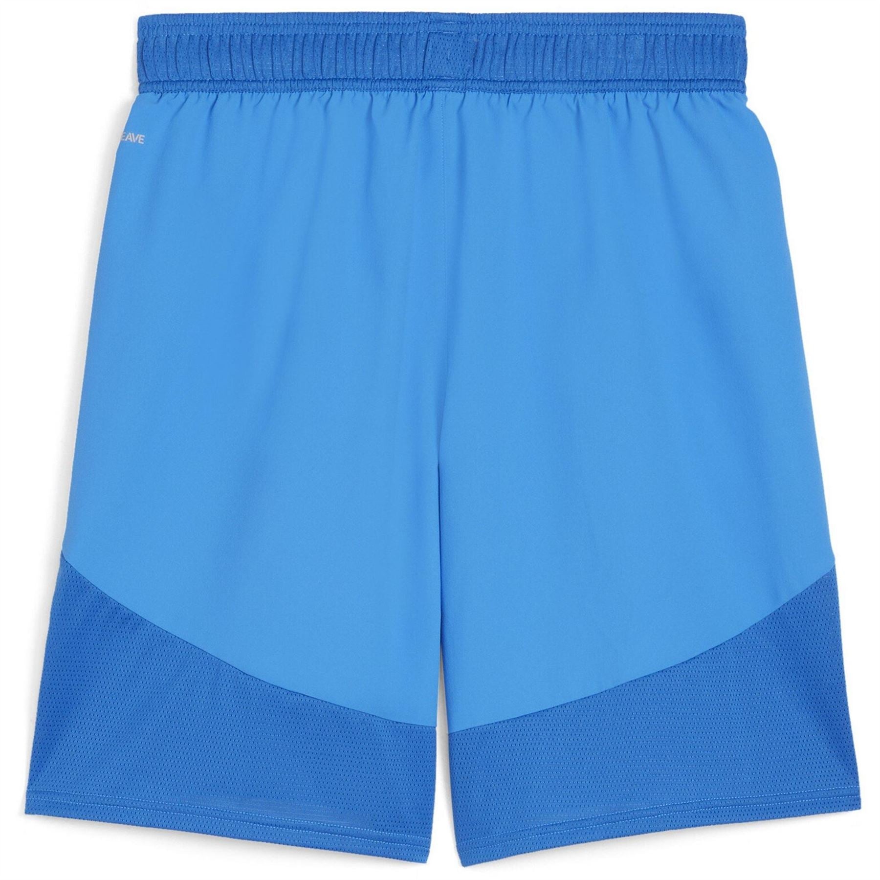 Puma Mens Teamfinal Shorts Football Shorts