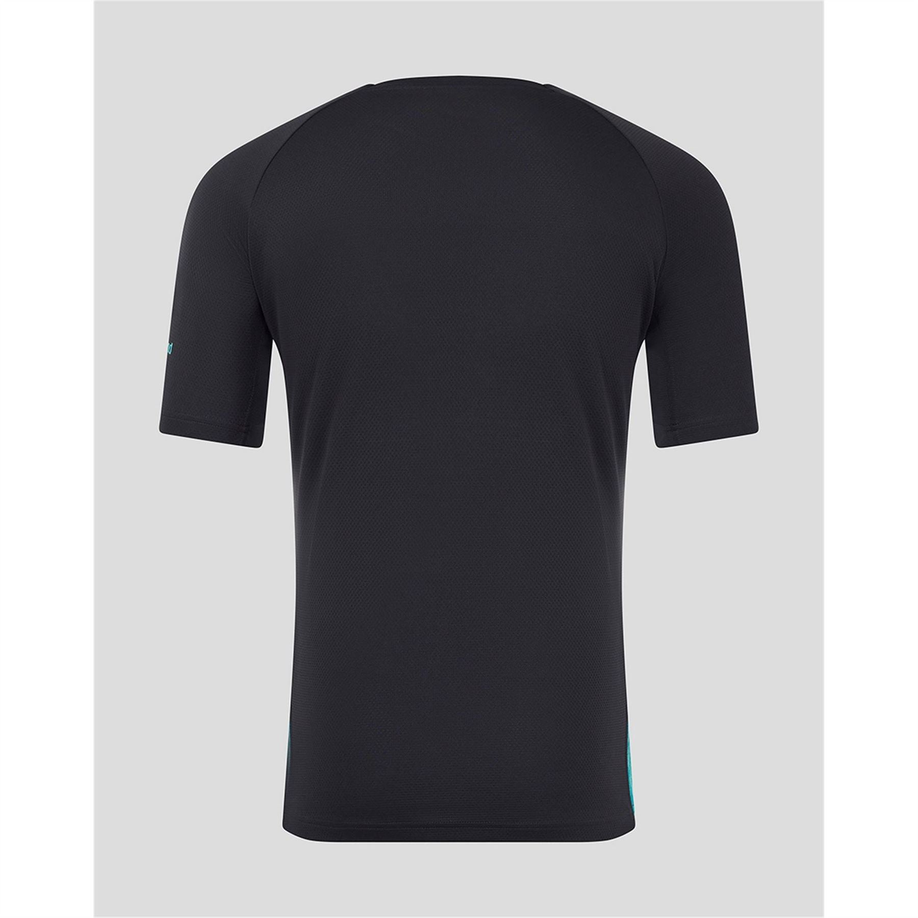 Castore Leinster Players T-Shirt Senior 25 26