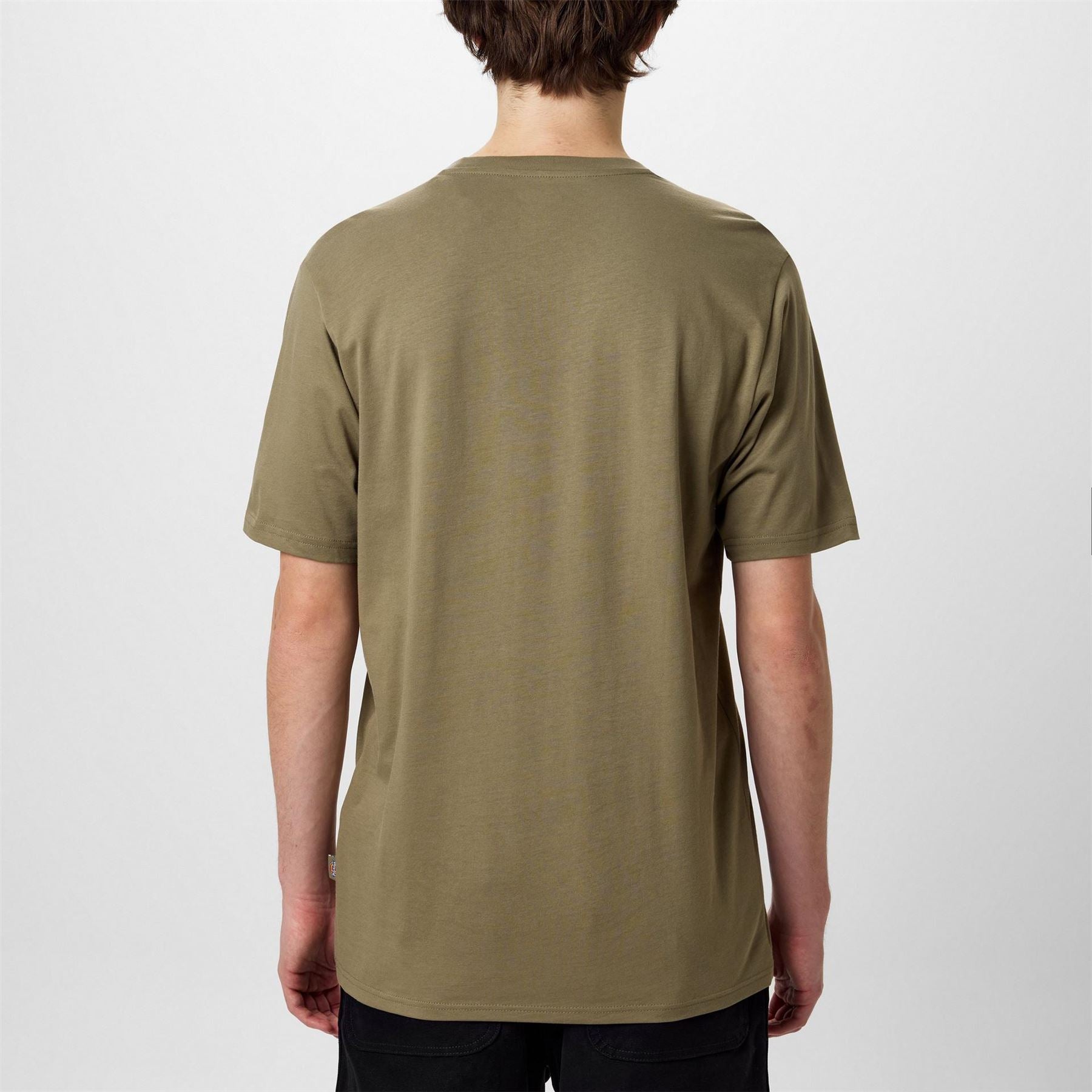 Dickies Regular Fit Mapleton T-Shirt