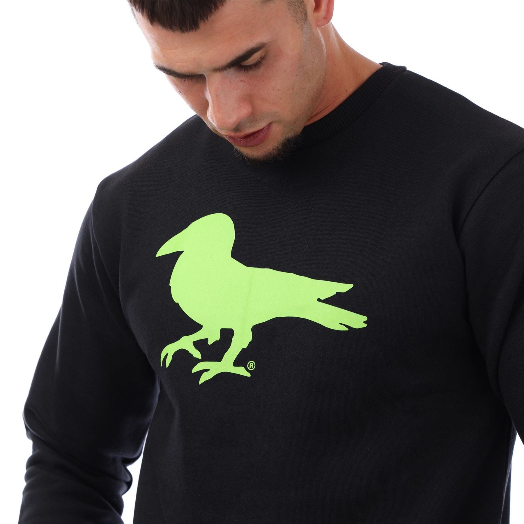 Modern Amusement Hollywood Robin Graphic Sweatshirt