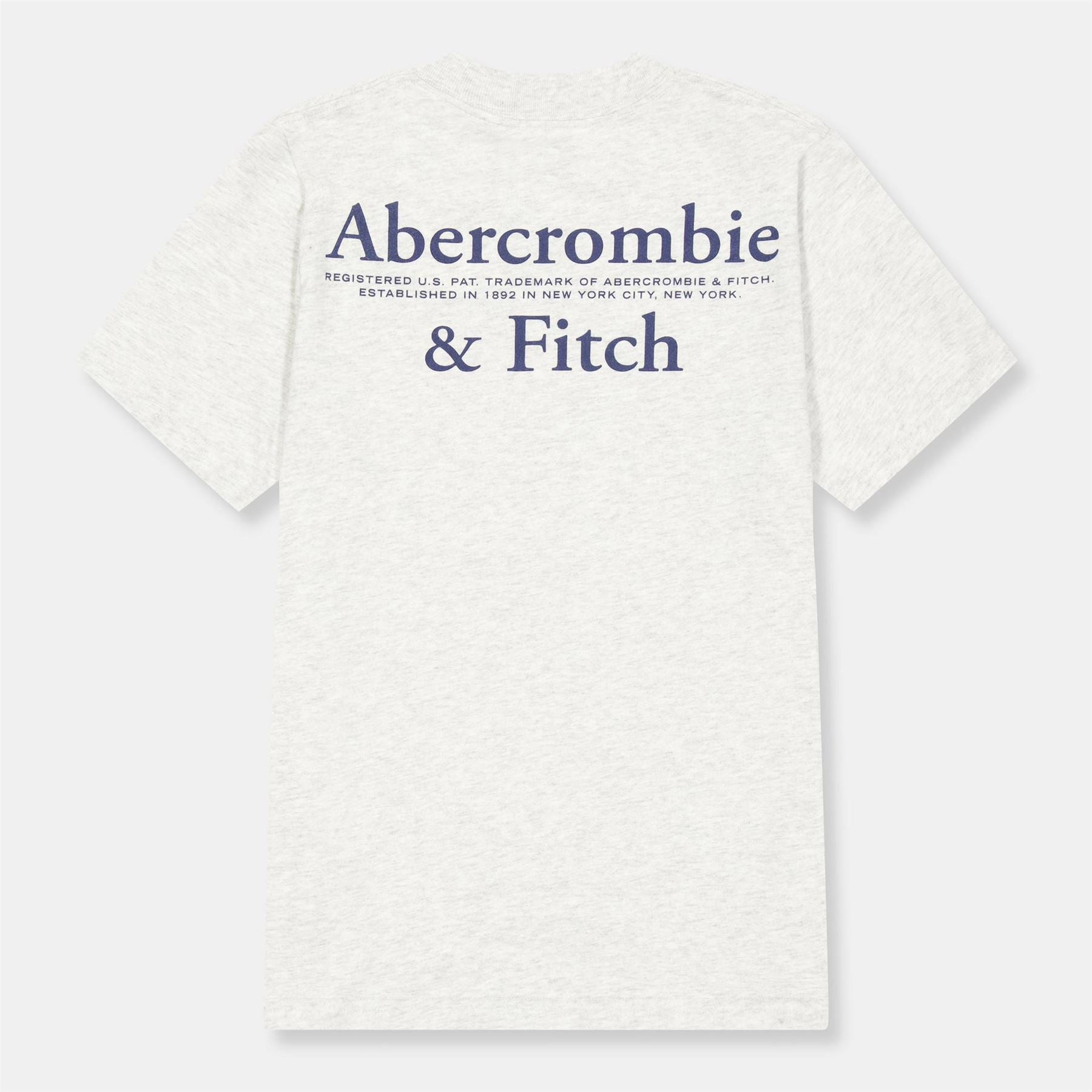 Abercrombie and Fitch And F Foothill Tee Jn54