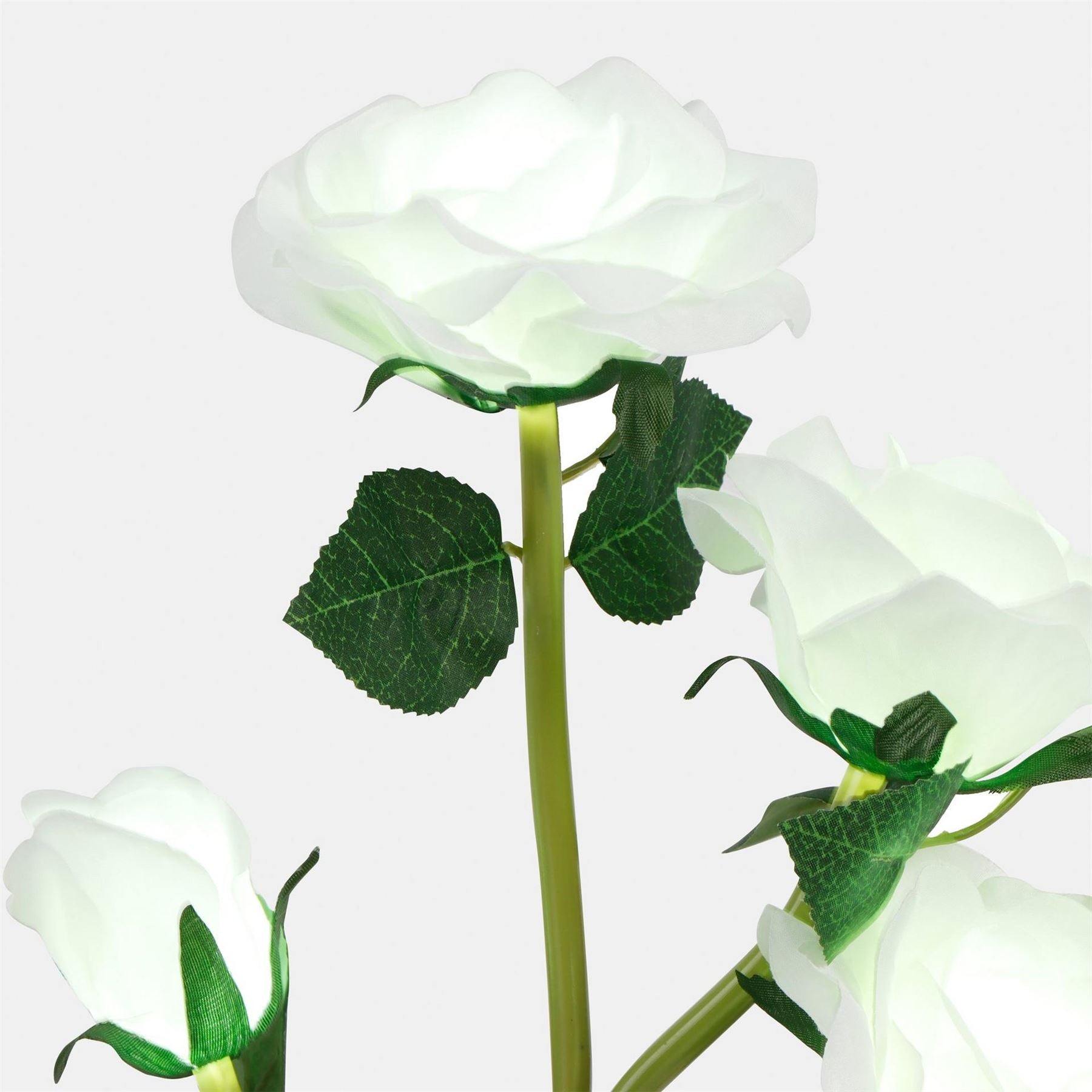 Streetwize White Rose Stake Light