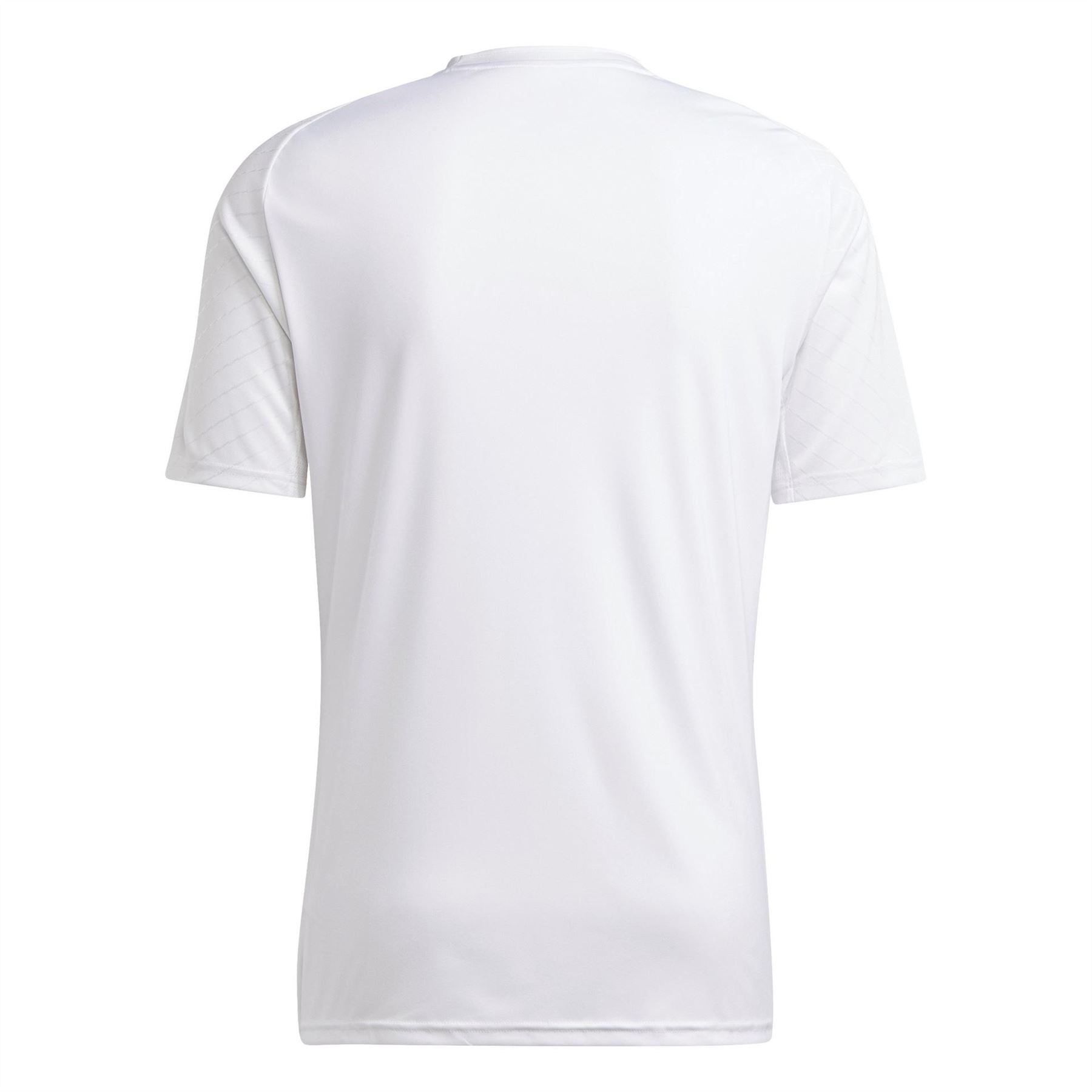adidas Camp 23 Crew Neck Raglan Sleeve Jersey