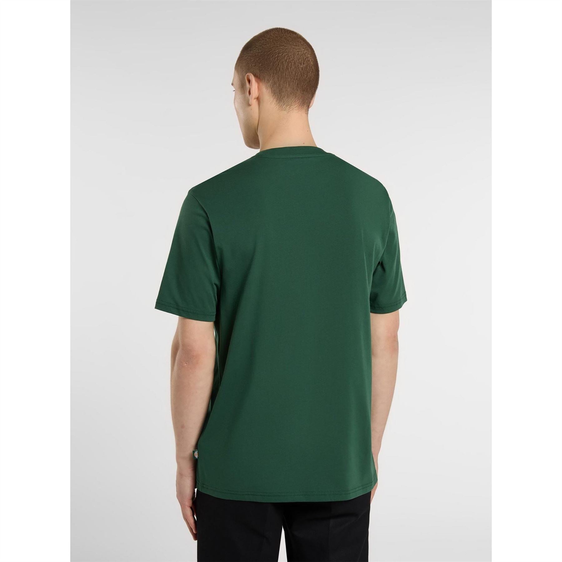 Dickies Regular Fit Mapleton T-Shirt