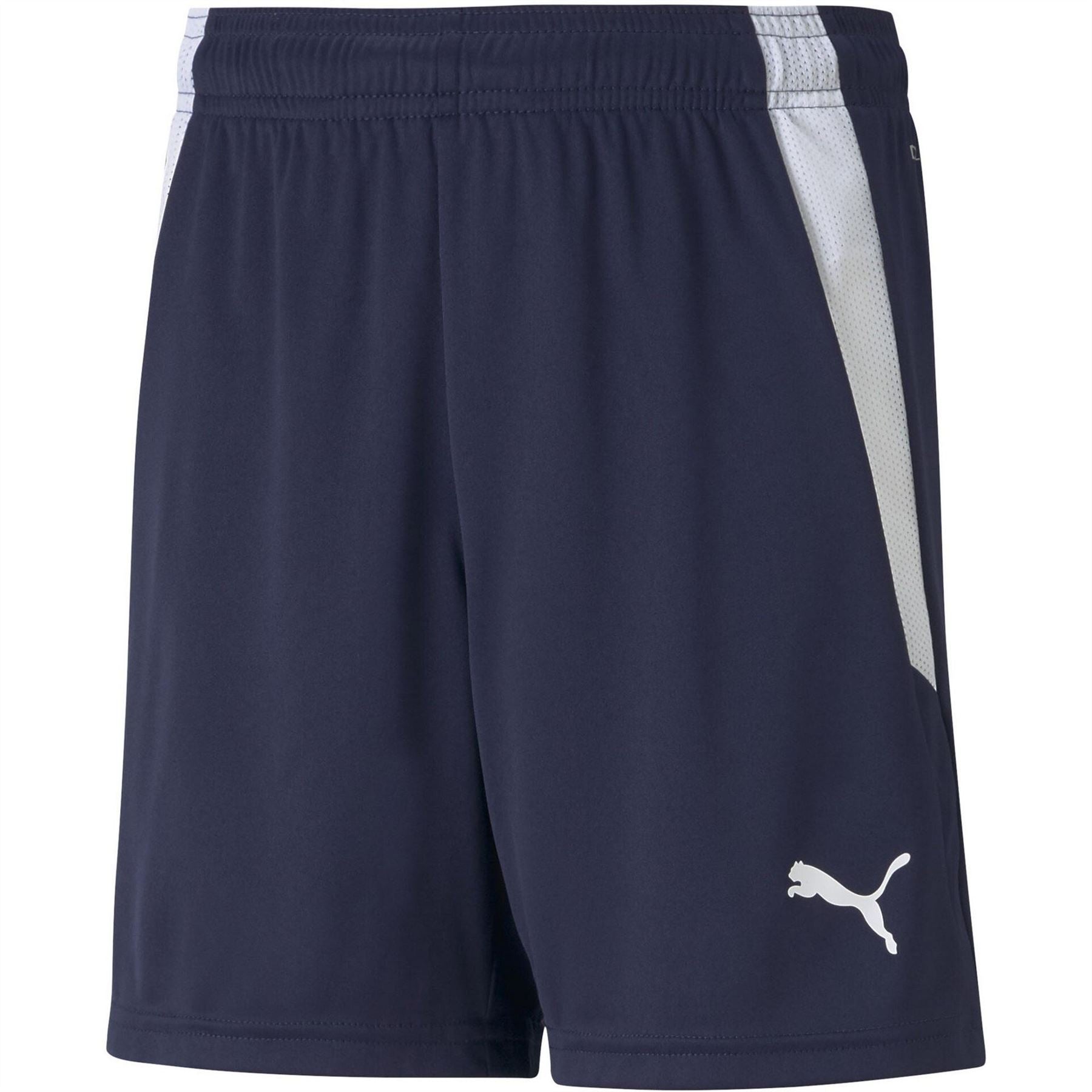 Puma Teamliga Shorts Jr Football Short Unisex Kids