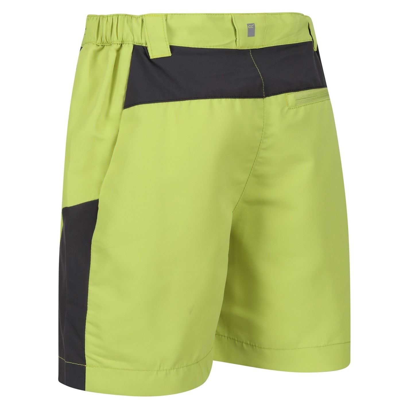 Regatta Walking Shorts