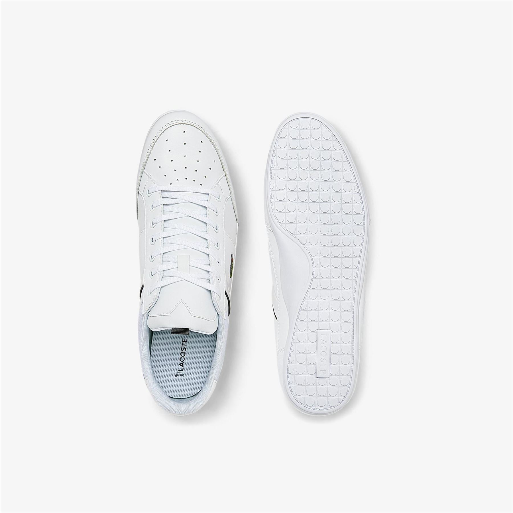 Lacoste Trainers