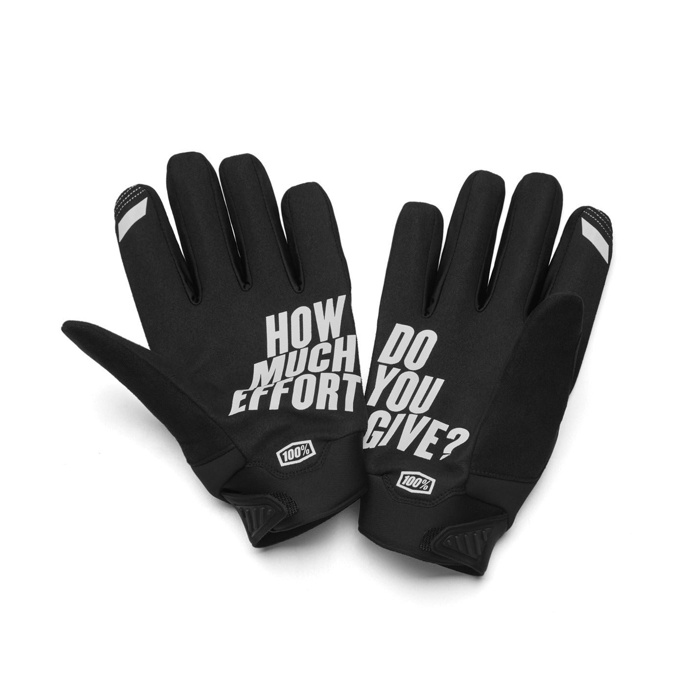 100 Percent Brisker Cold Weather Glove