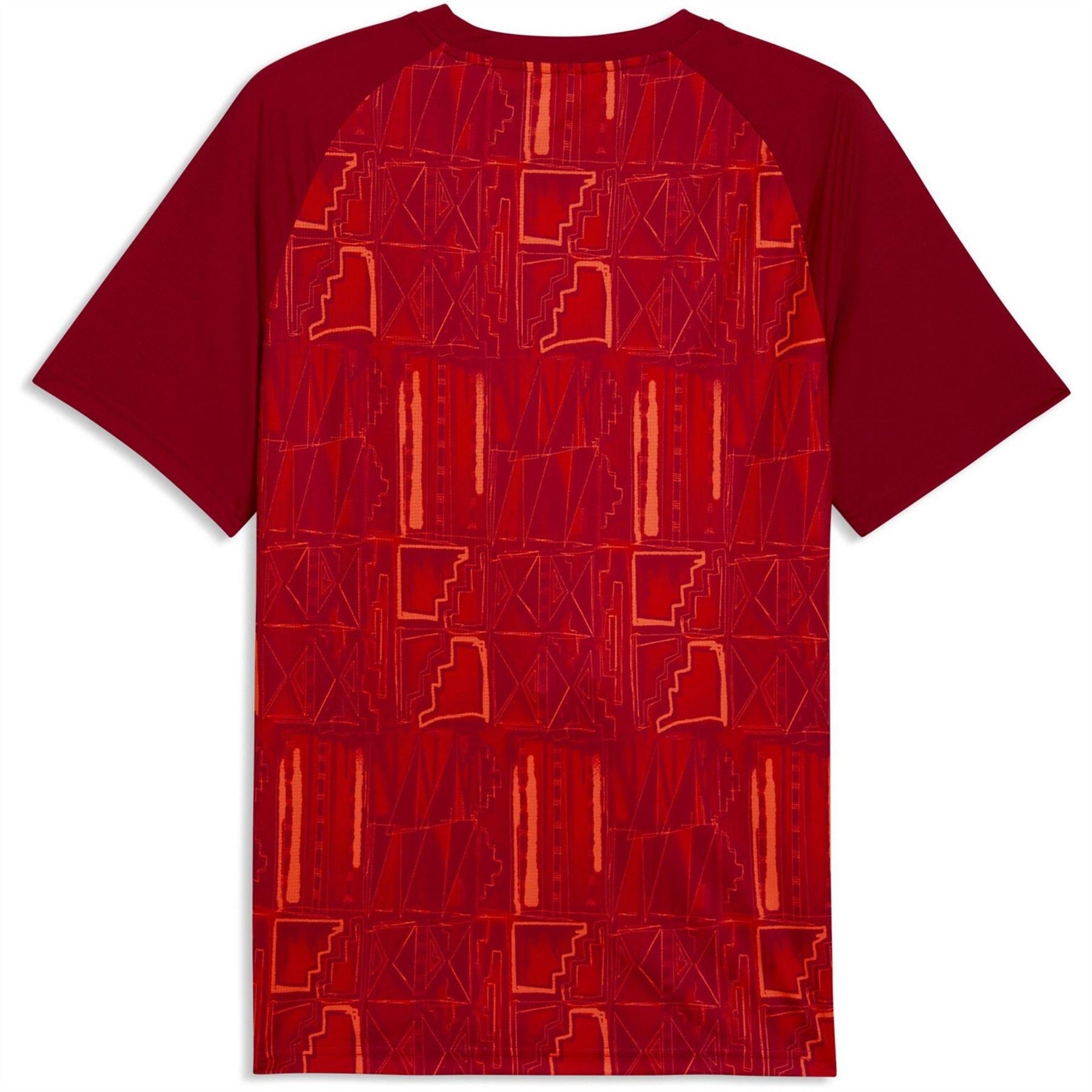 Puma Ghana Warn Up Shirt World Cup 2026