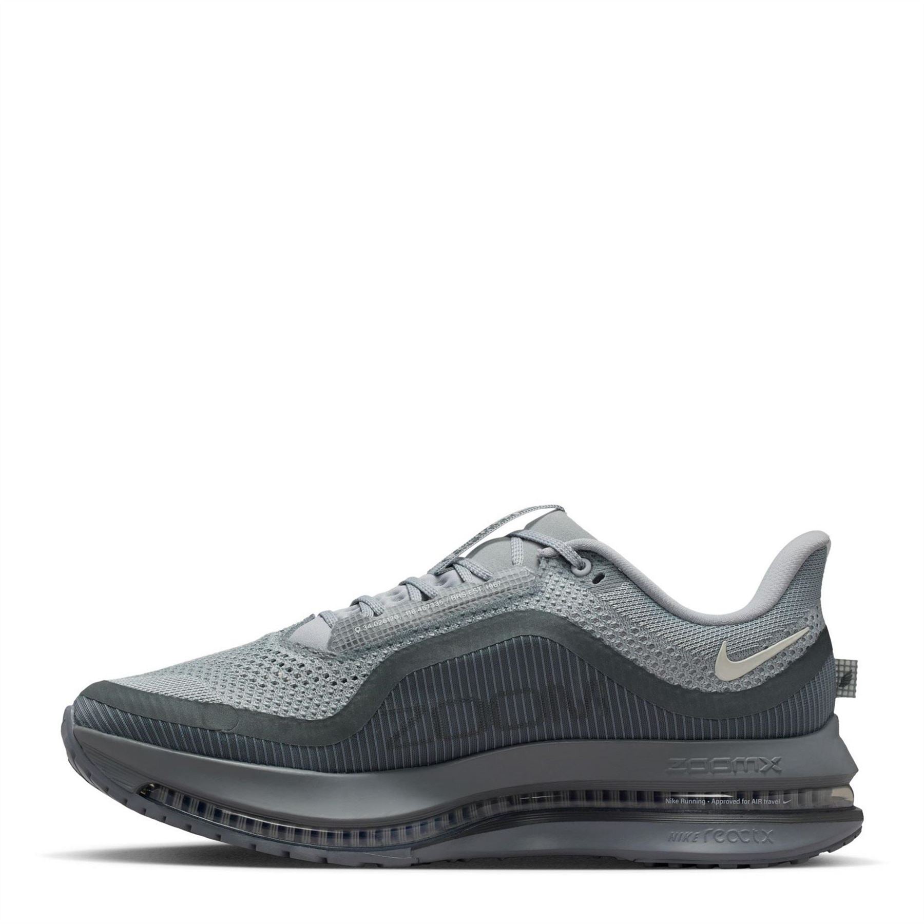 Nike Mens Pegasus Premium Running Shoes