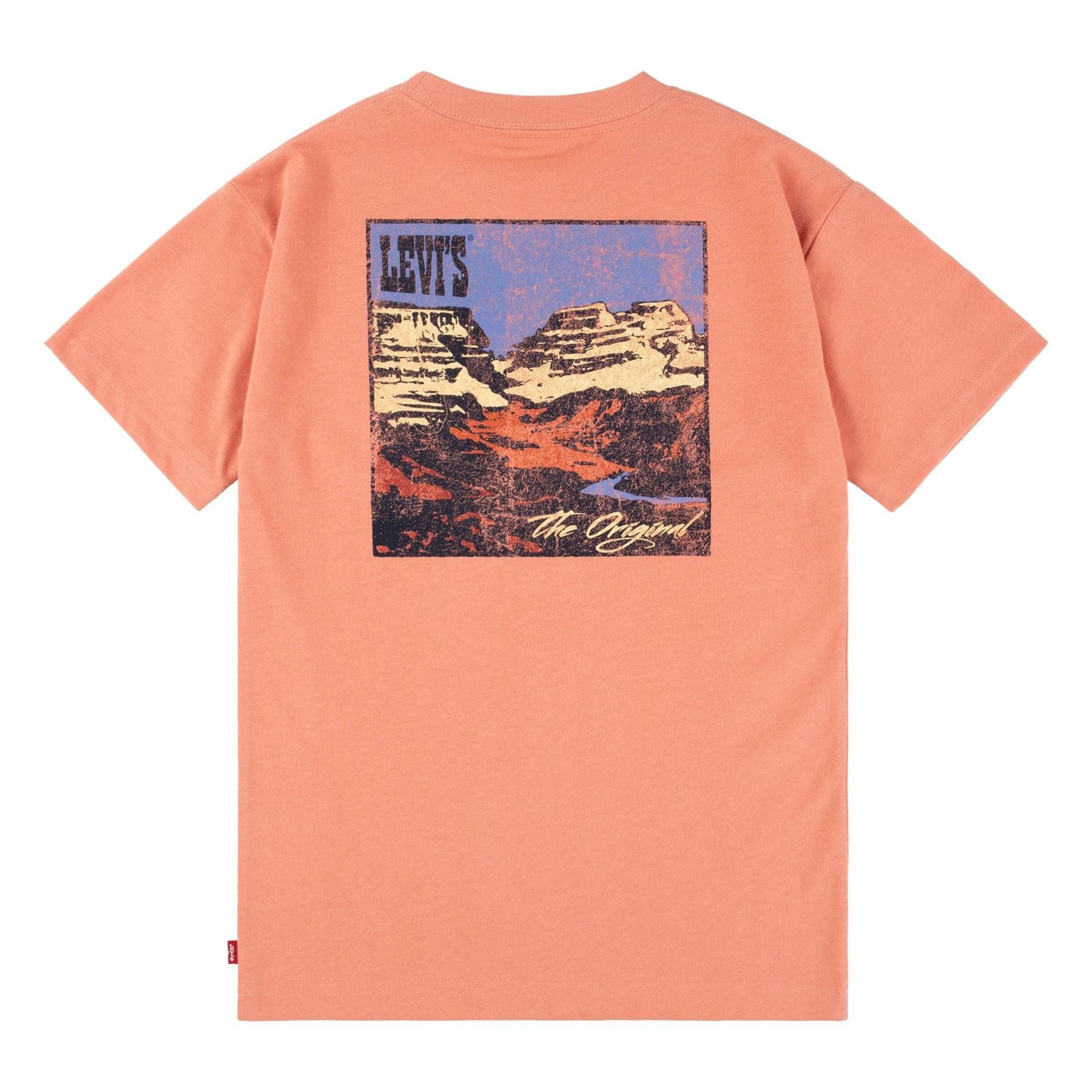Levis Landscape Crew Neck Short Sleeve T-Shirt