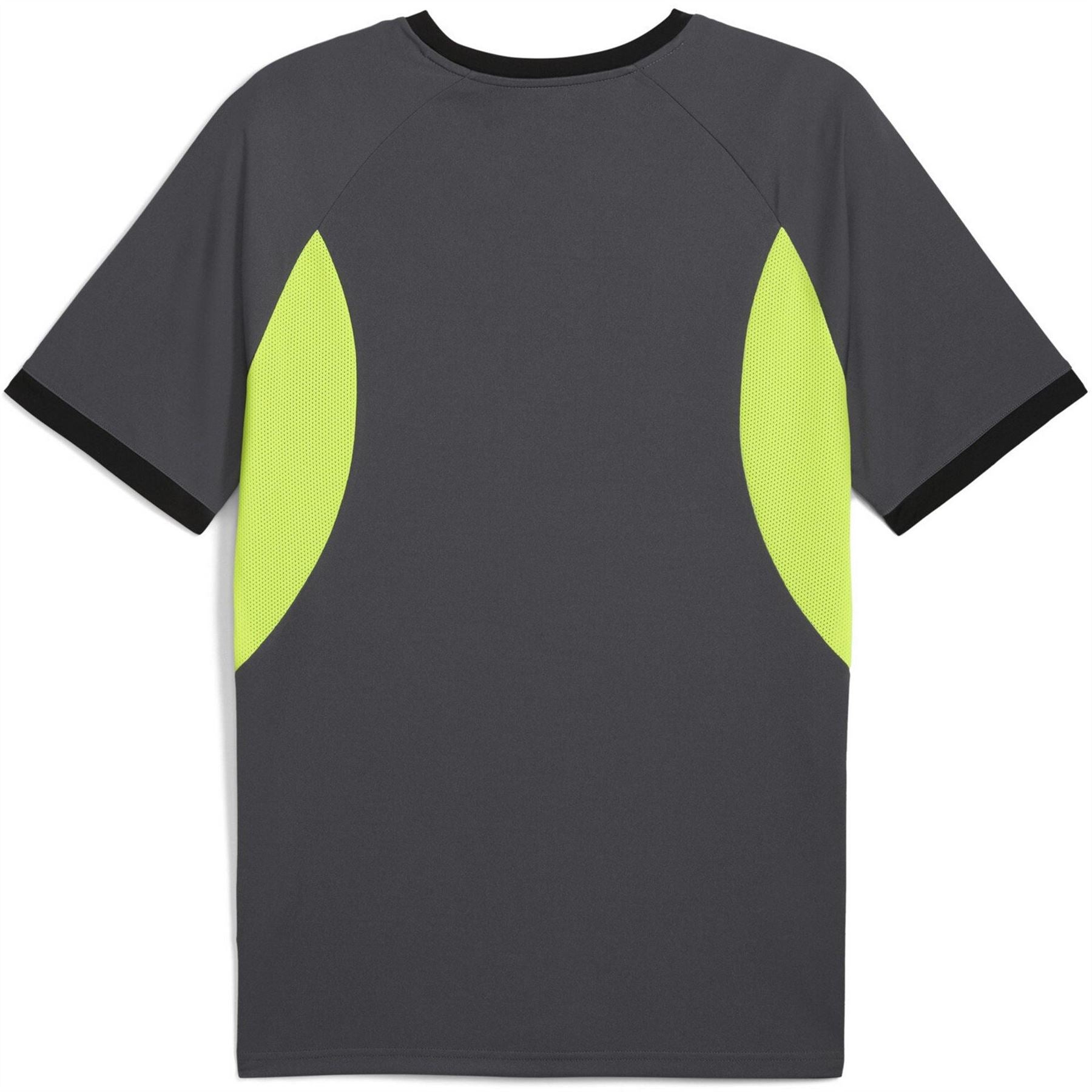 Puma Mens Individualliga Jersey T-Shirt