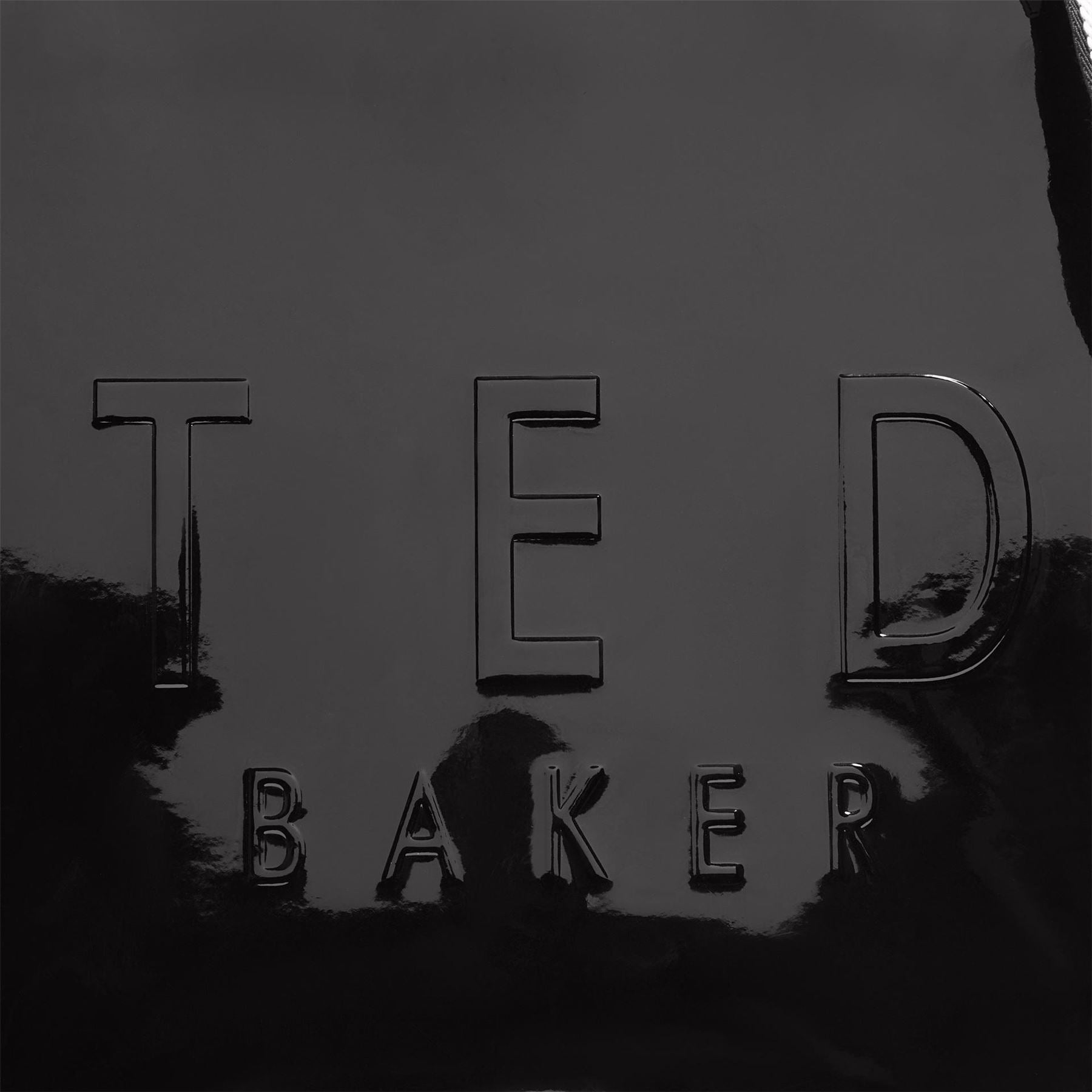 Ted Baker Web Lrg Iconbag