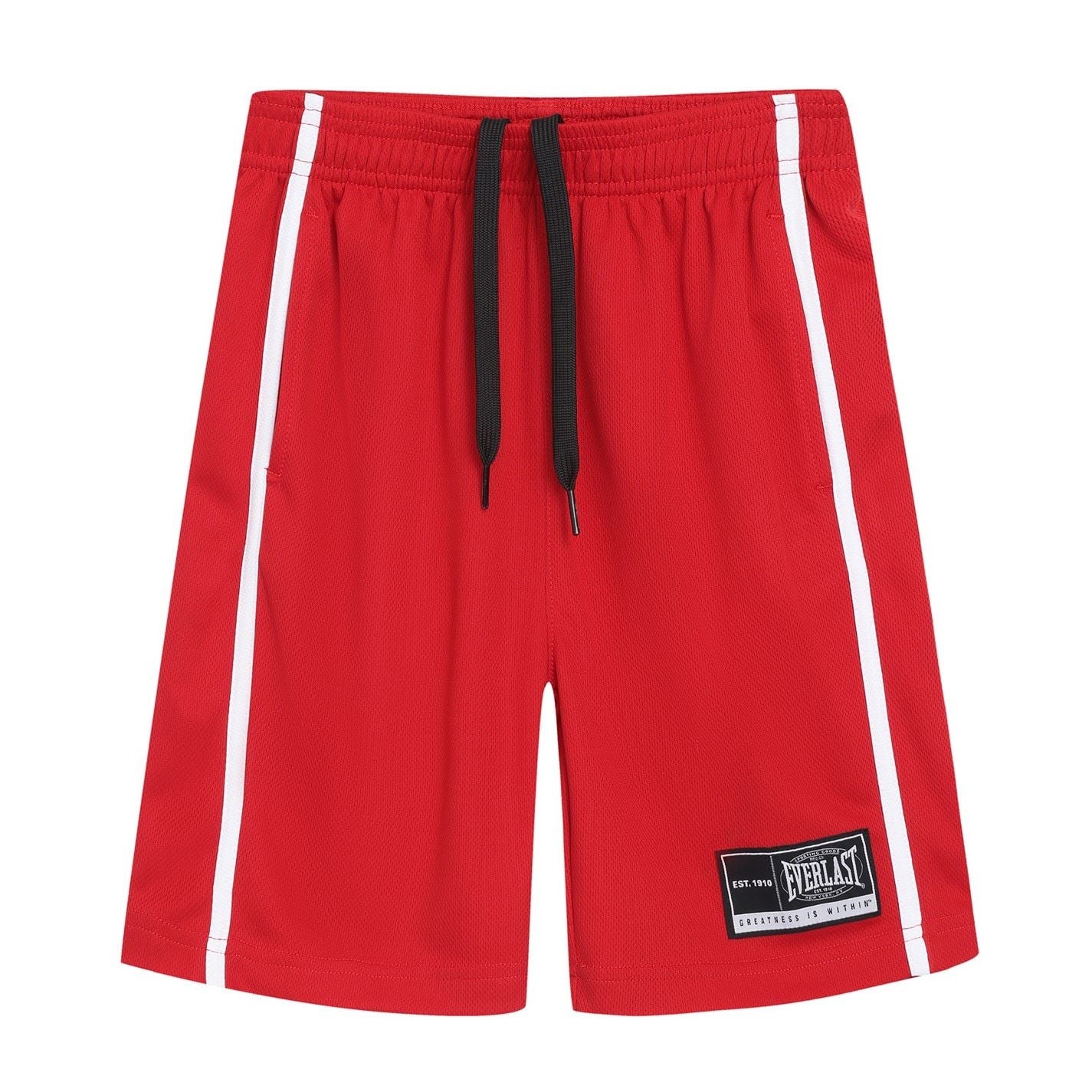 Everlast Basketball Set Junior Boys