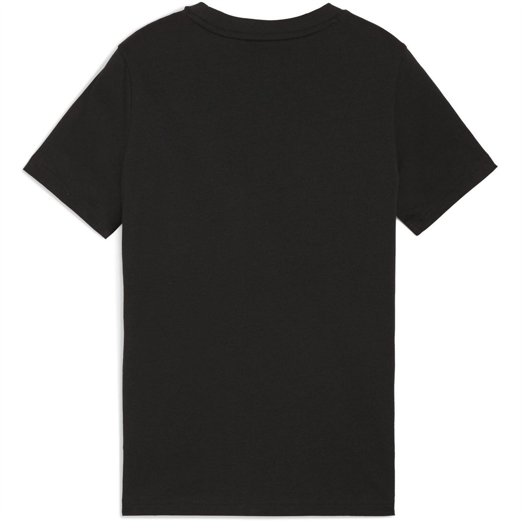 Puma Essentials Graphic Regular Fit T Shirt