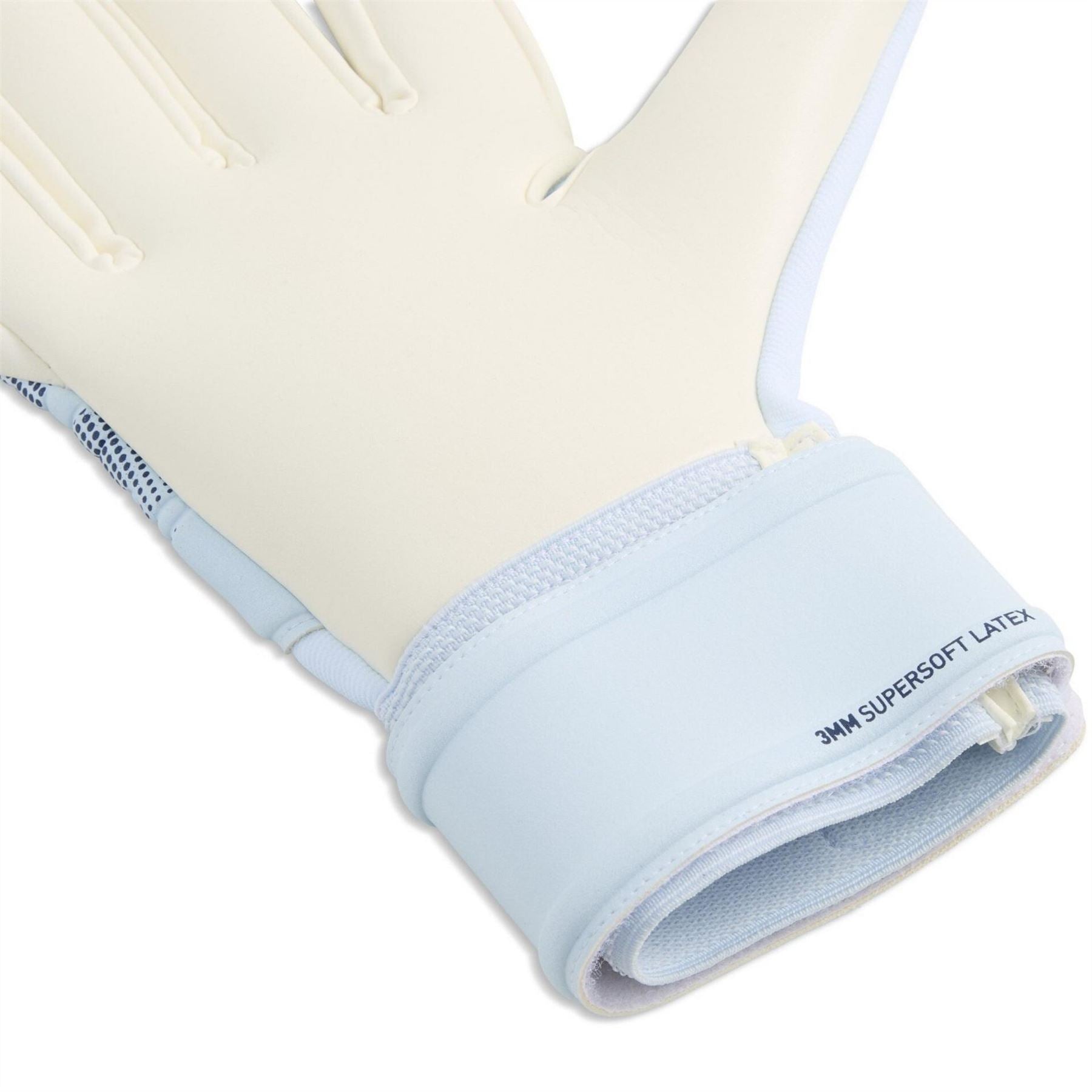 Puma Future Match Goalkeeper Gloves Adults