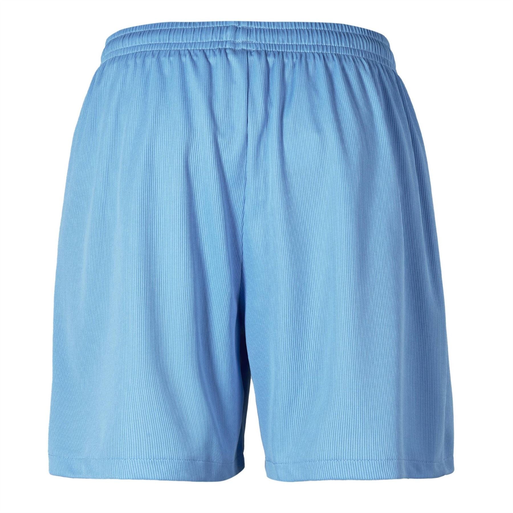 Puma Mens Wahl Vencida Shorts