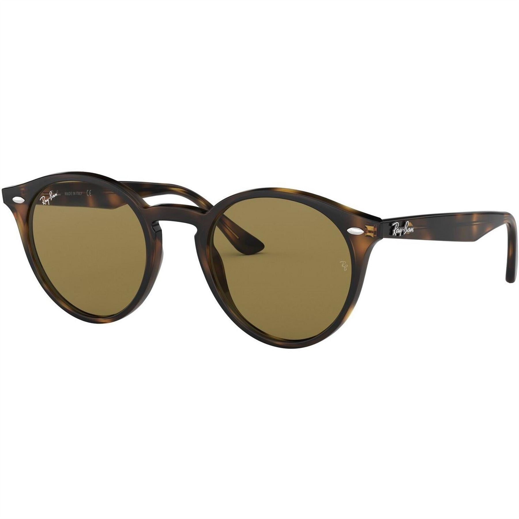 Ray-Ban Round Full Rim Round Sunglasses