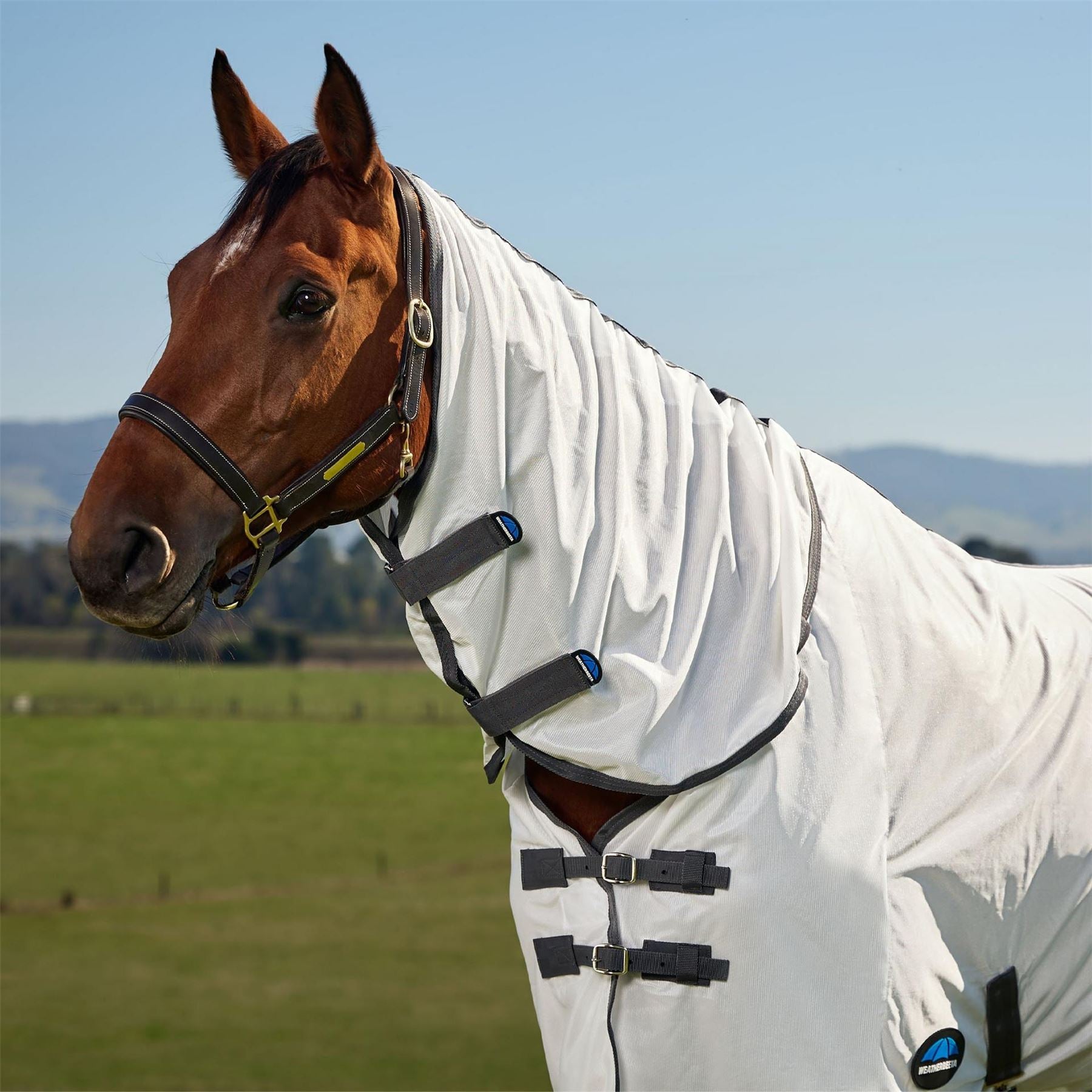Weatherbeeta Comfitec Tyro Fly Sheet Combo