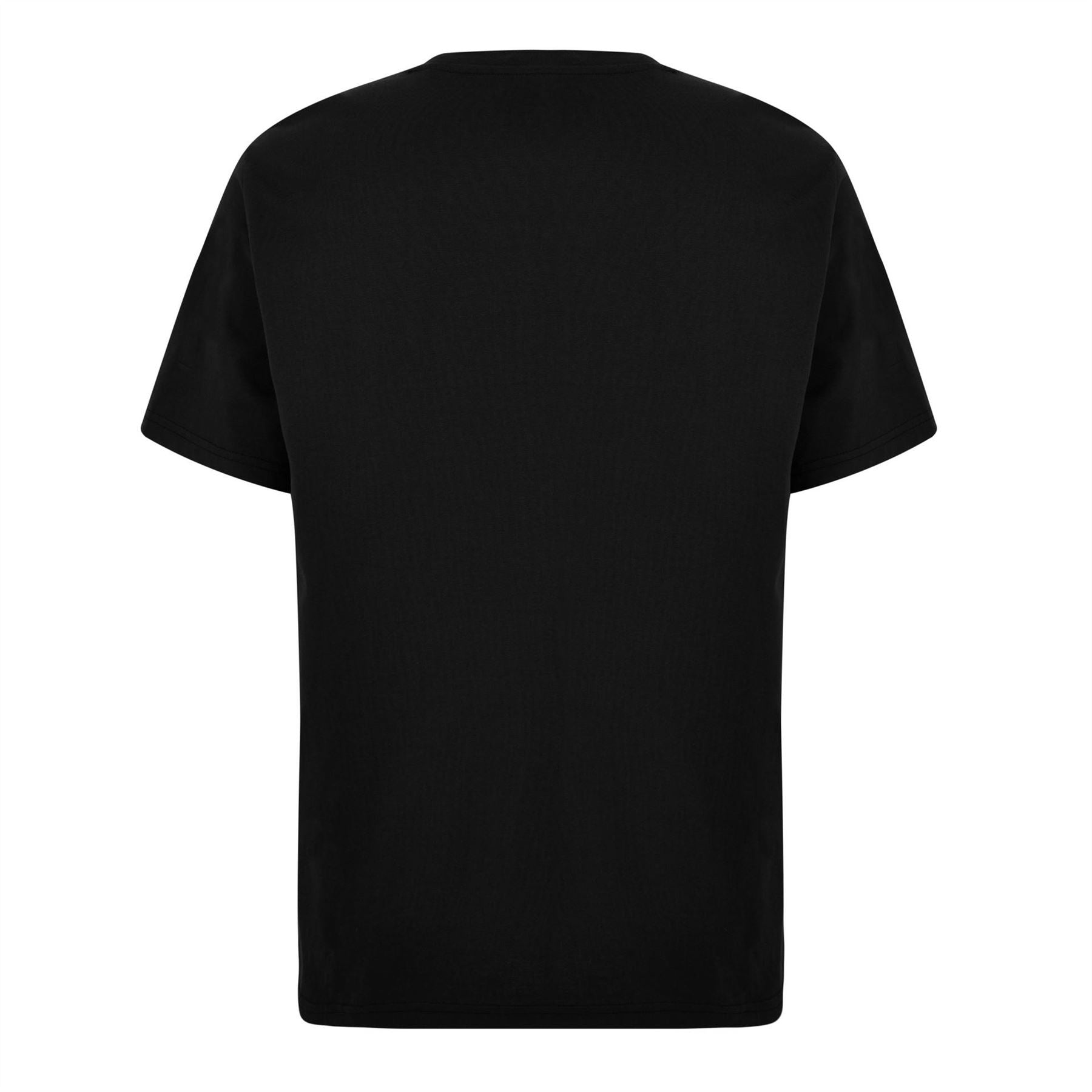 Dickies Regular Fit Mapleton T-Shirt