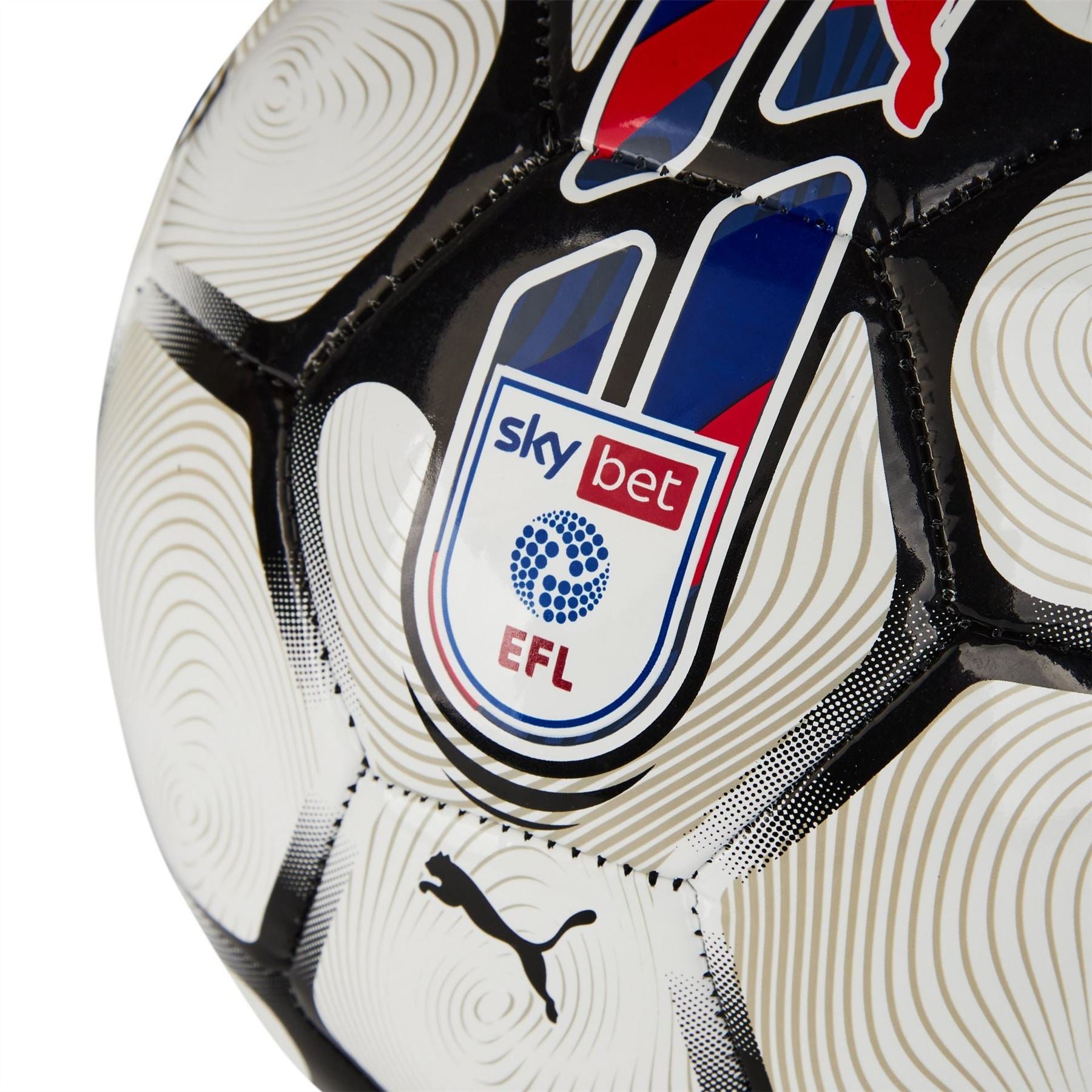 Puma Orbita 6 EFL Football 2023/2024