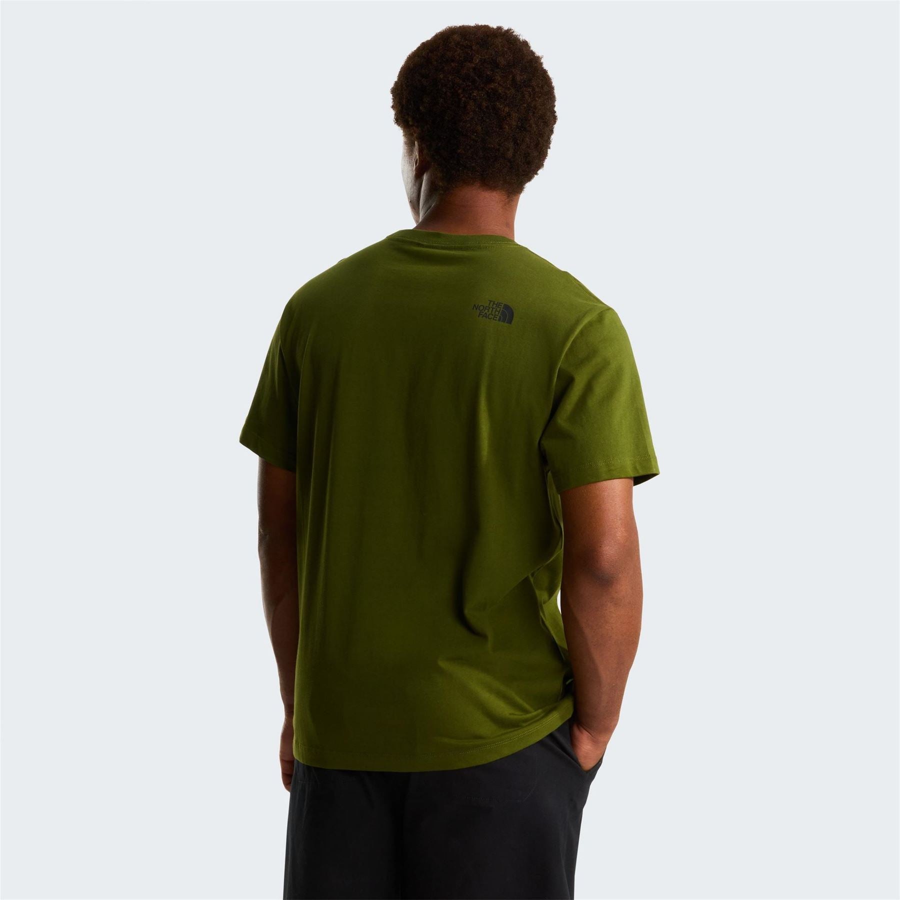 The North Face Mens Mountain Logo Tee