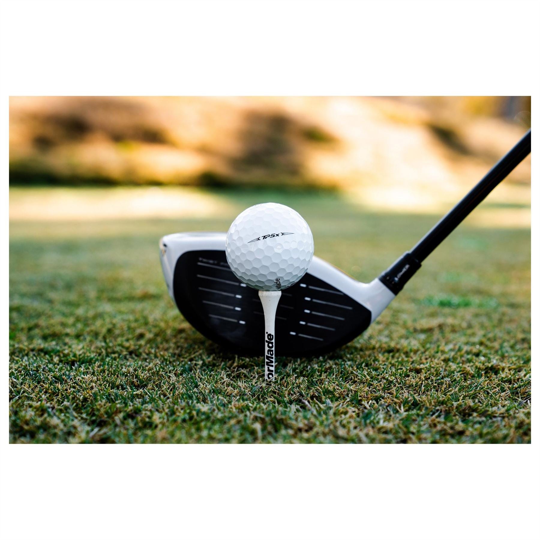TaylorMade Glb Dz 10