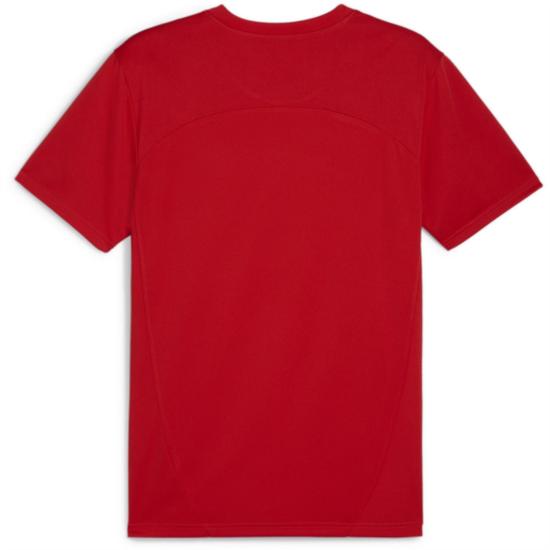 Puma Teamfinal Training Short Sleeve Performance T-Shirt