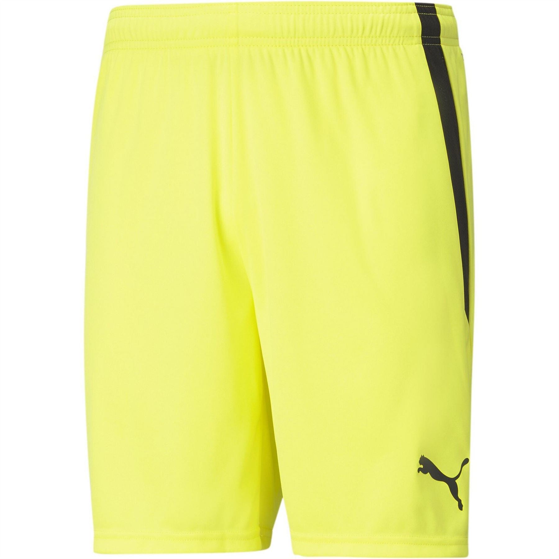 Puma Mens Teamliga Shorts Football Shorts