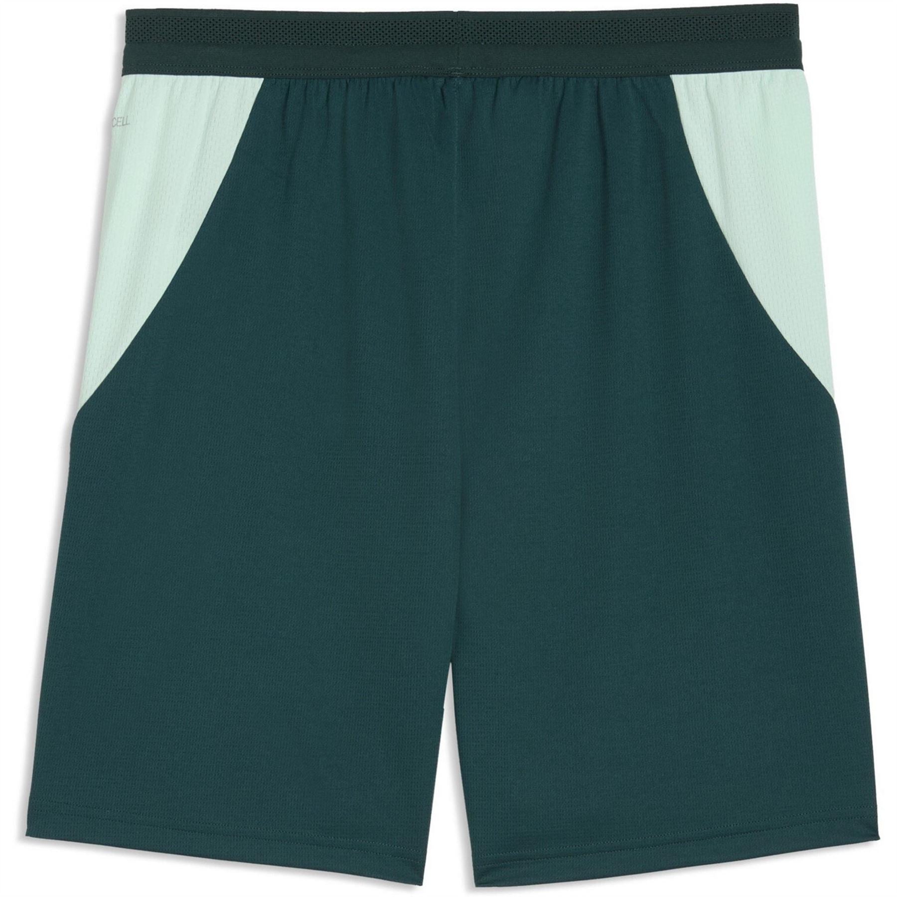 Puma Austria Fifa World Cup 2026™ Football Shorts