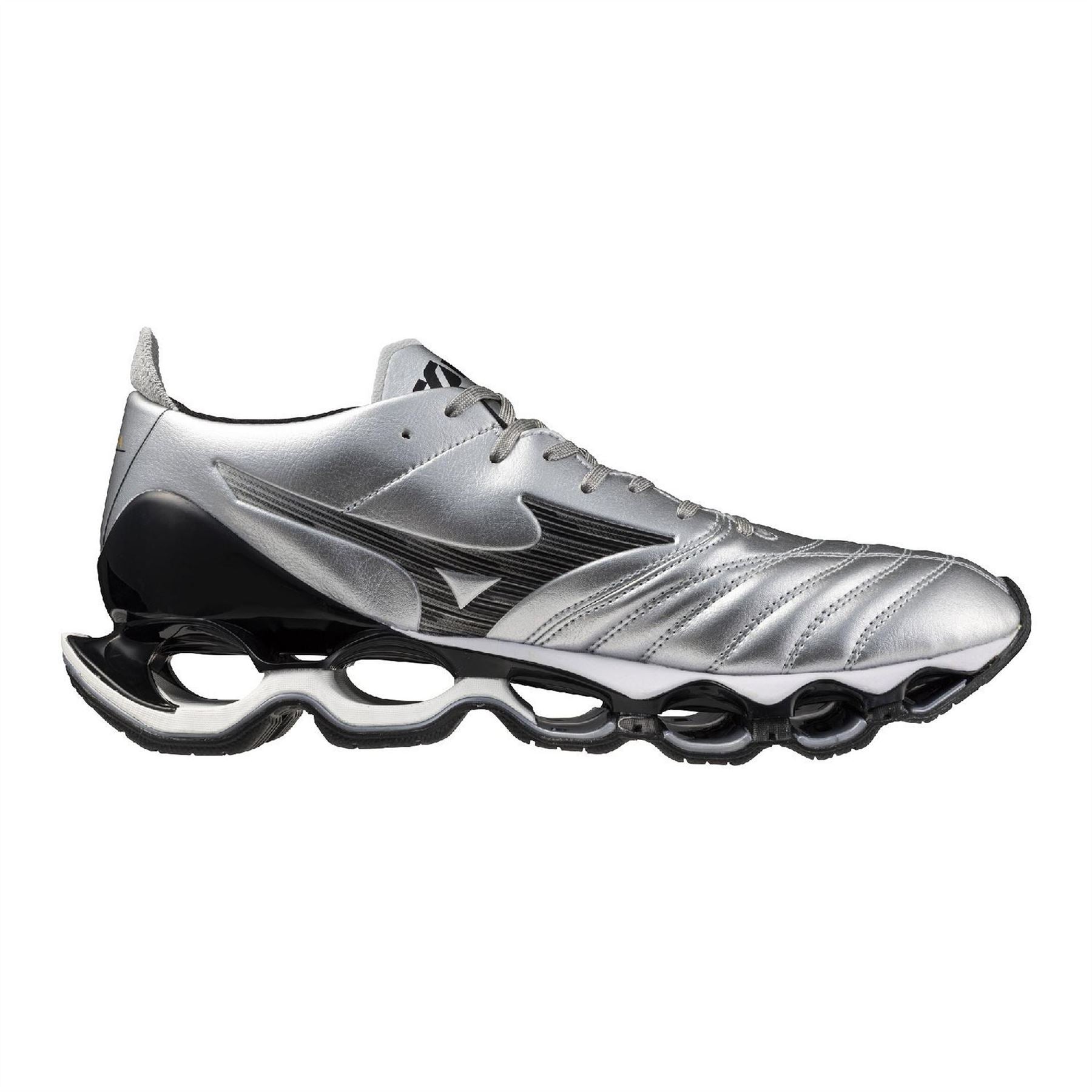 Mizuno Wave Prophecy