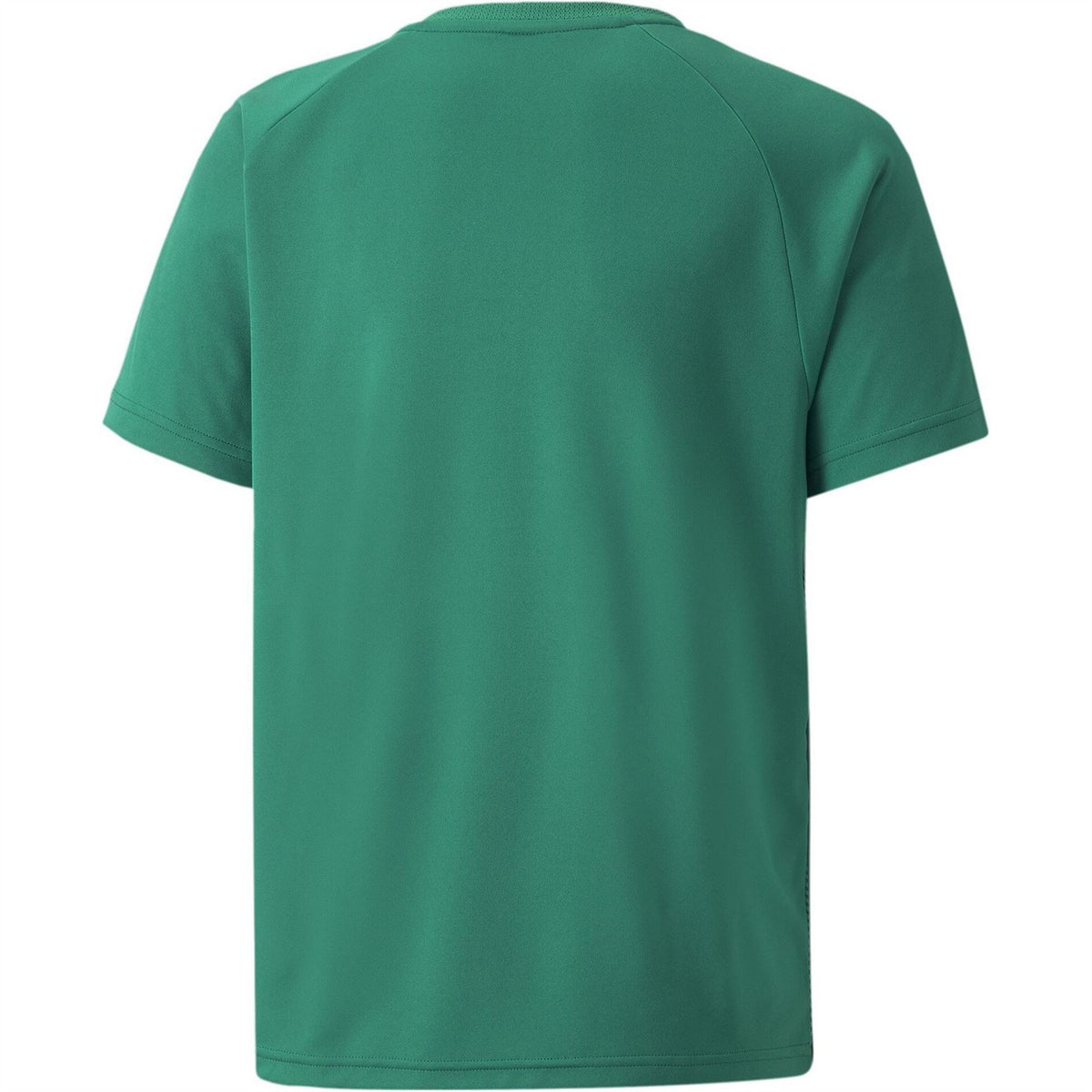 Puma Teamliga Striped Jersey Jr T-Shirt Unisex Kids