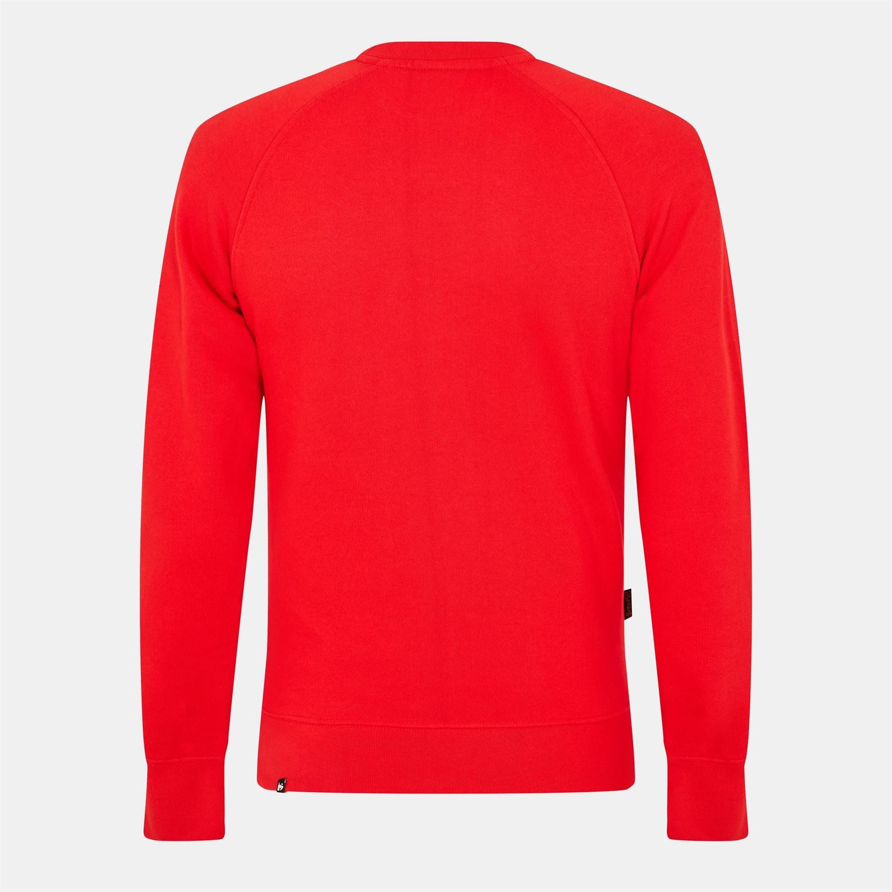 Money Chenille Embroidered Raglan Sleeve Sweatshirt