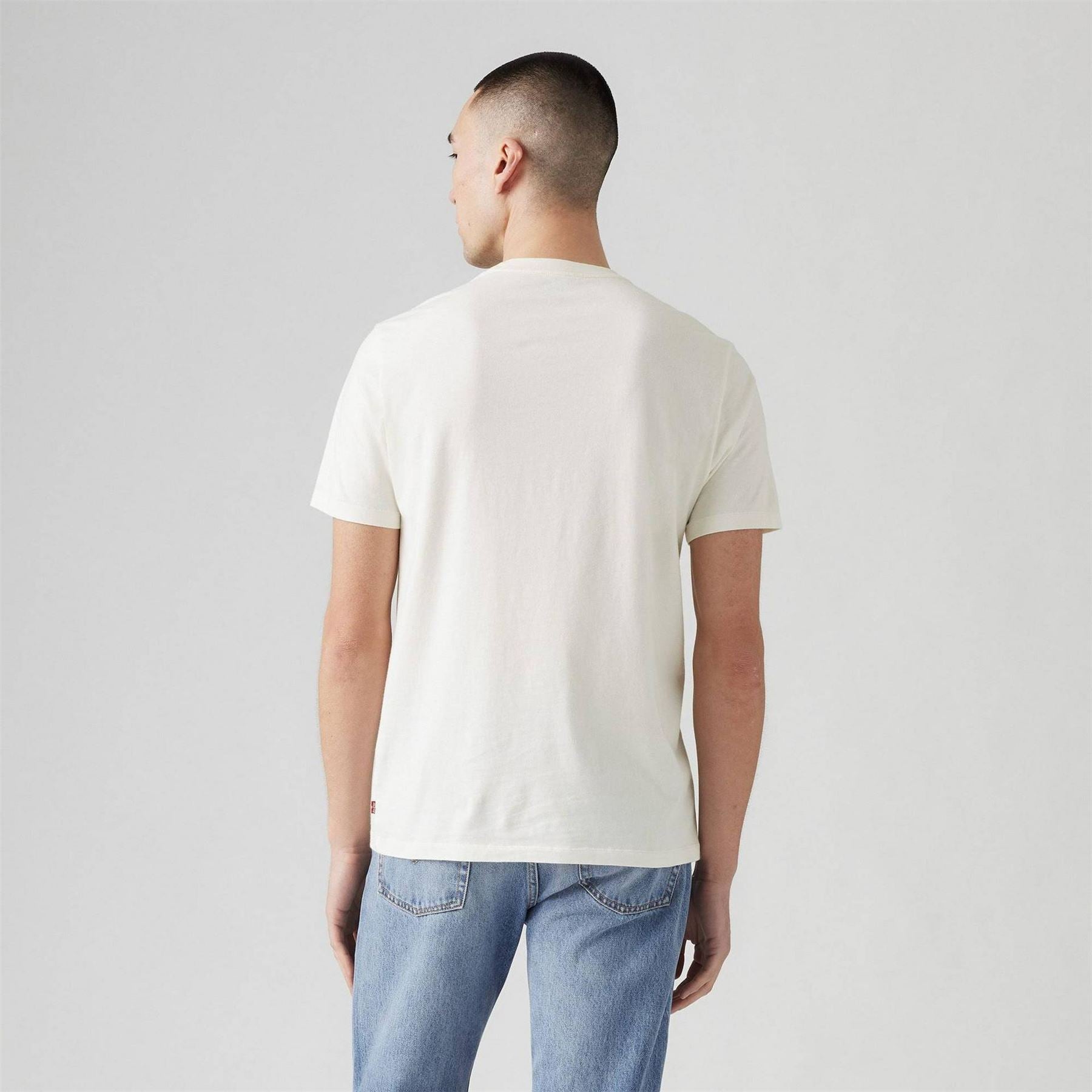 Levis Graphic Crewneck Regular Fit T-Shirt